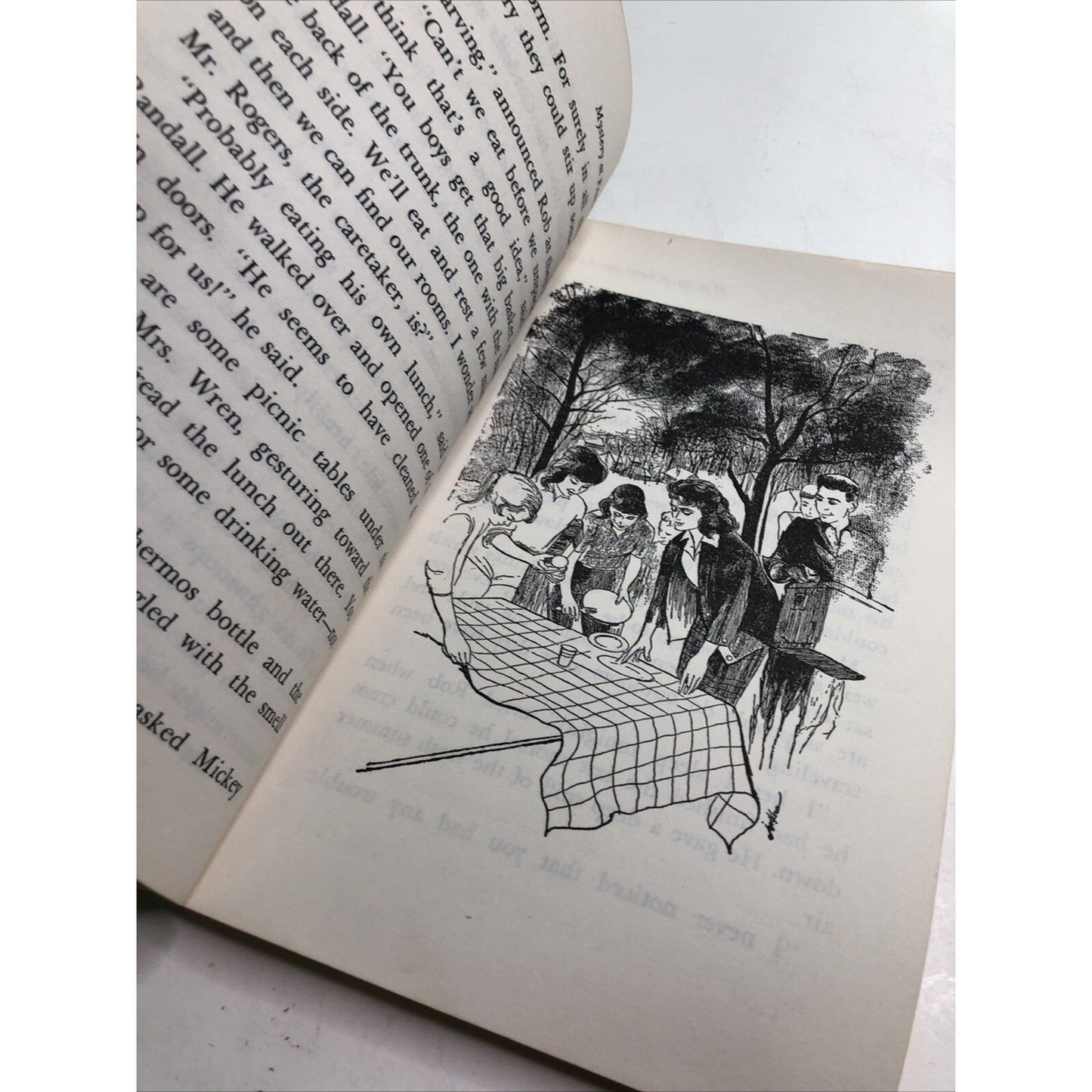 Vintage CHRISTINE GOVAN & EMMY WEST Mystery at Fearsome Lake Lookouts #10