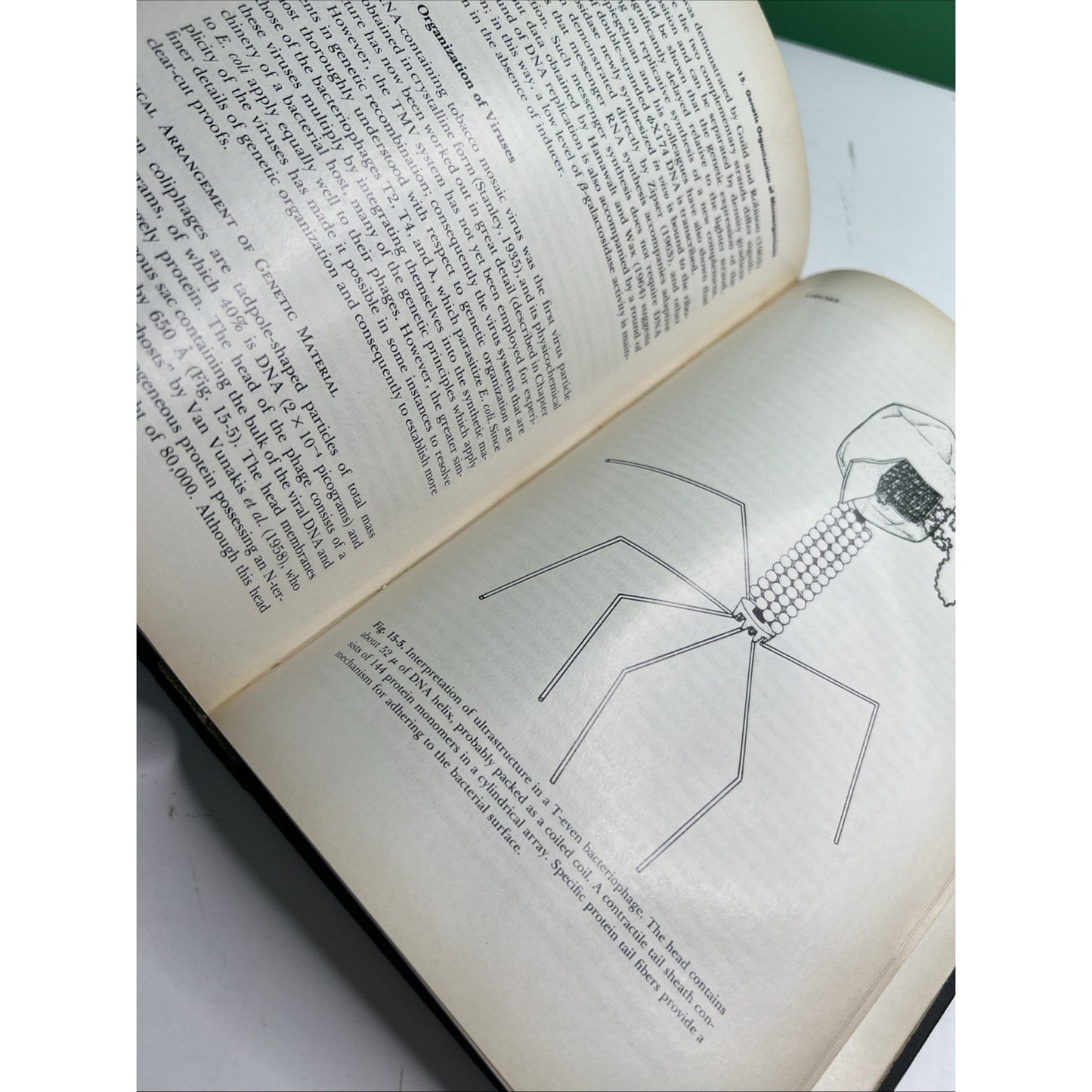 Cell And Molecular Biology By Ernest J. DuPraw 1968 Hardcover