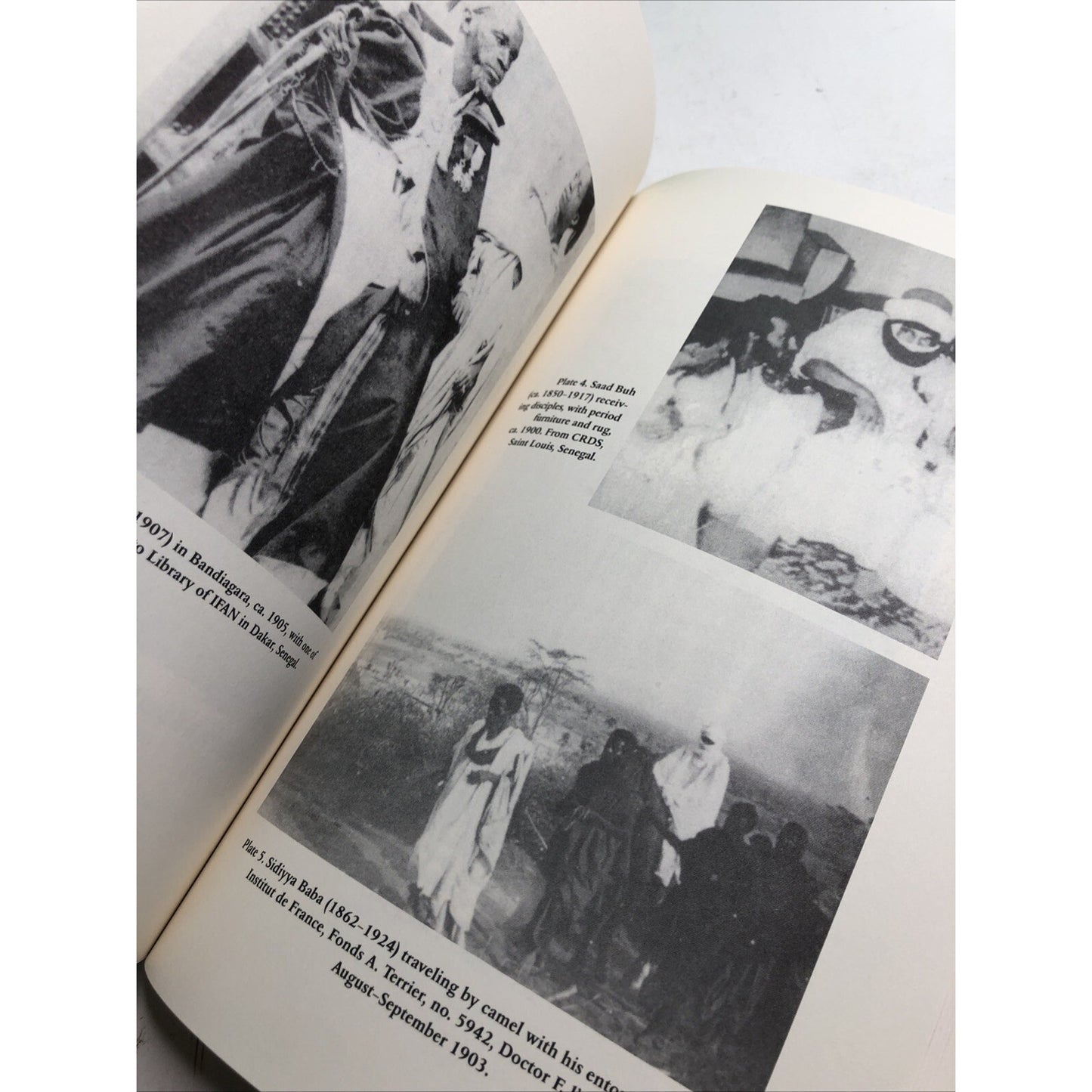 Paths of Accommodation: Muslim Societies & French Colonial Authorities Robinson