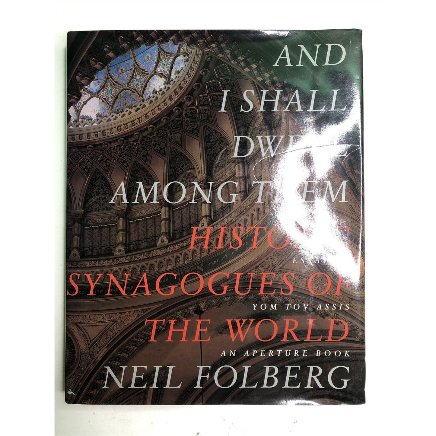 And I Shall Dwell Among Them Historic Synagogues of the World by Neil Folberg HC