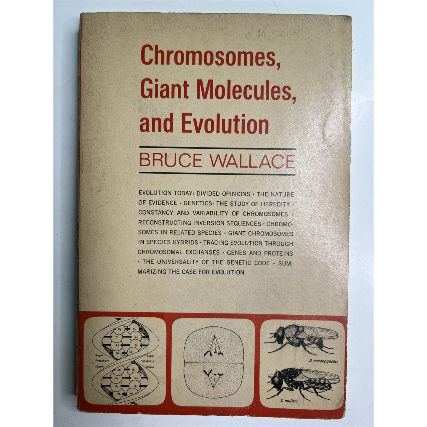 Chromosomes, Giant Molecules, and Evolution by Bruce Wallace 1966 PB 1st Edit.