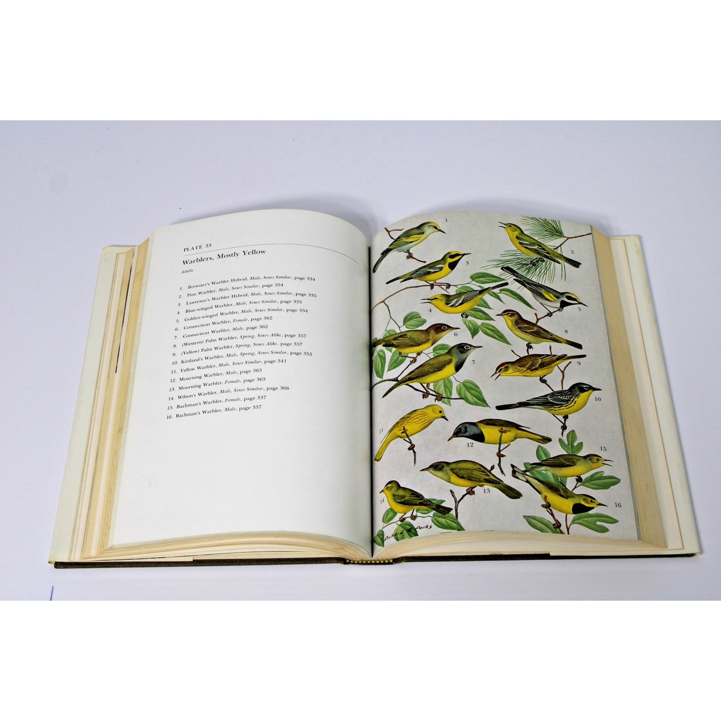 Alabama Birds- Thomas A. Imhof - 2nd Edition 1976 HC/ DJ + Ephemera