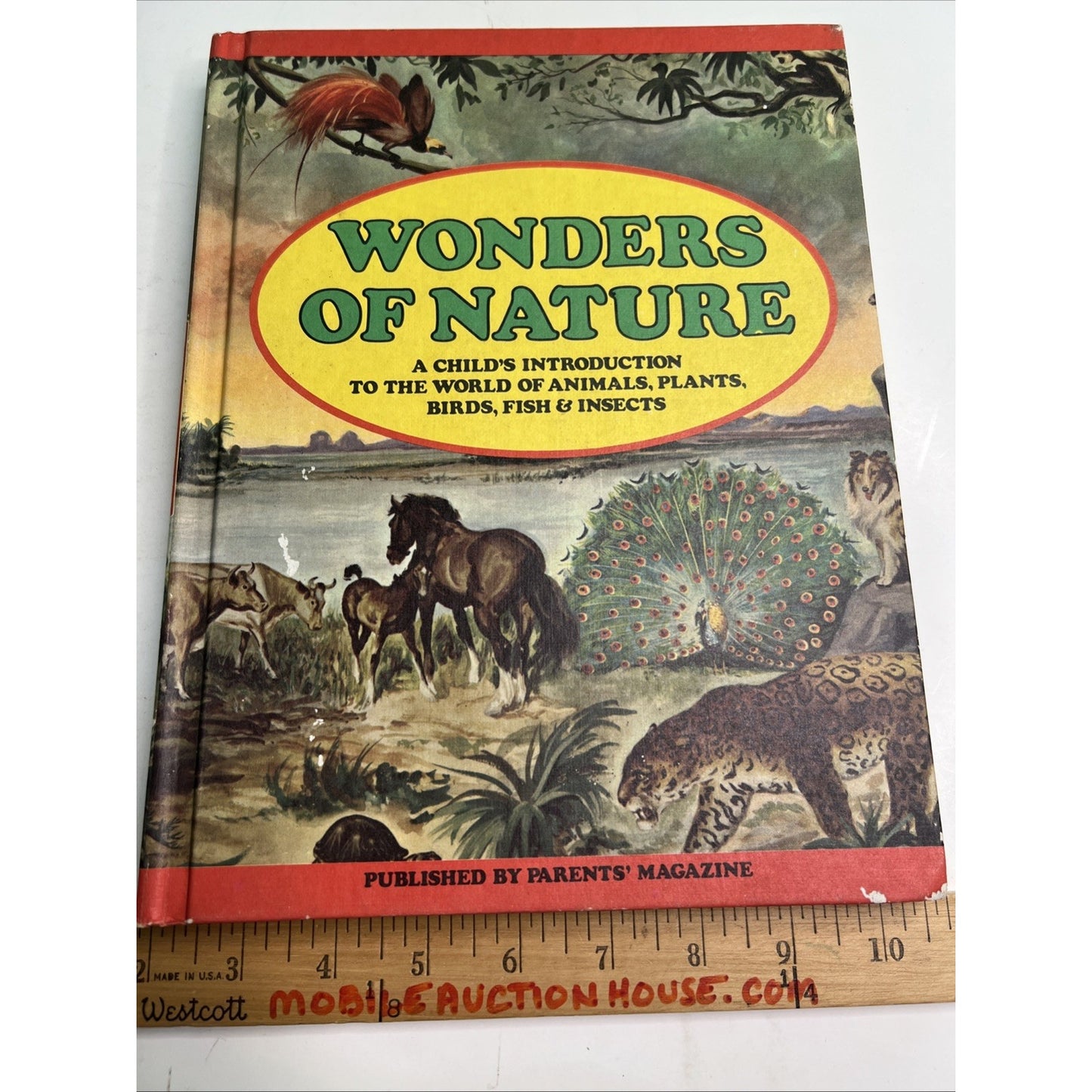 Wonders of Nature A Child's Introduction - Parents Magazine 1974 HC Illustrated