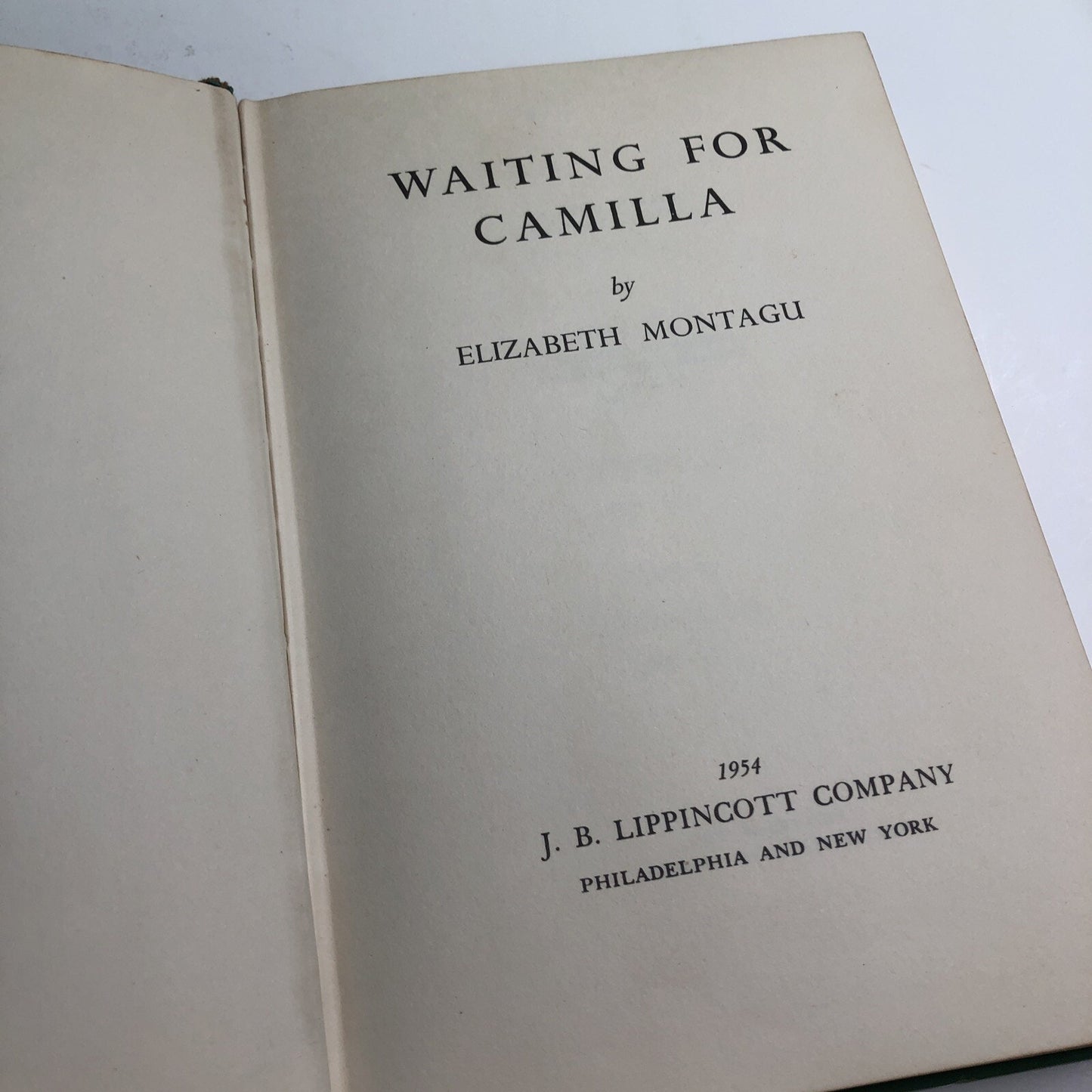 Waiting For Camilla