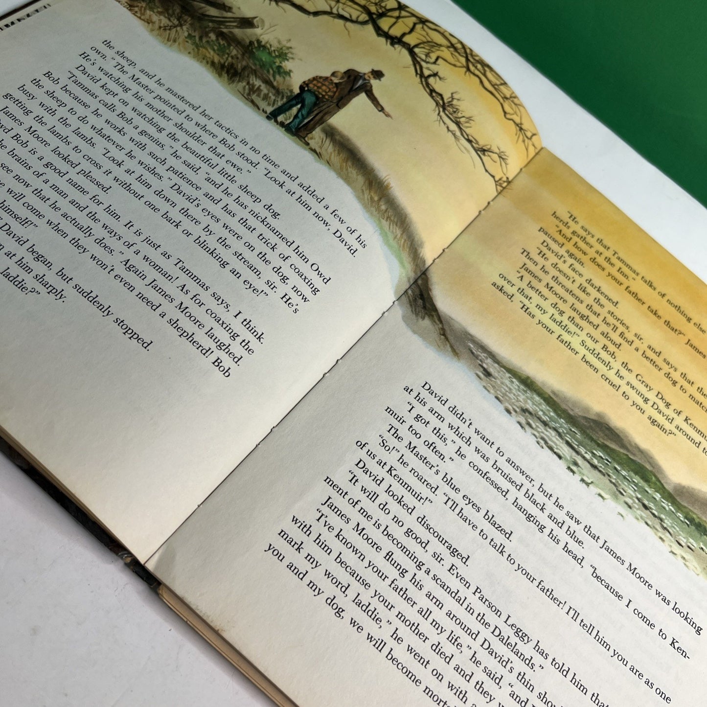 Alfred Ollivant’s Bob, Son Of Battle 1960 Illustrated HC by Olive Price