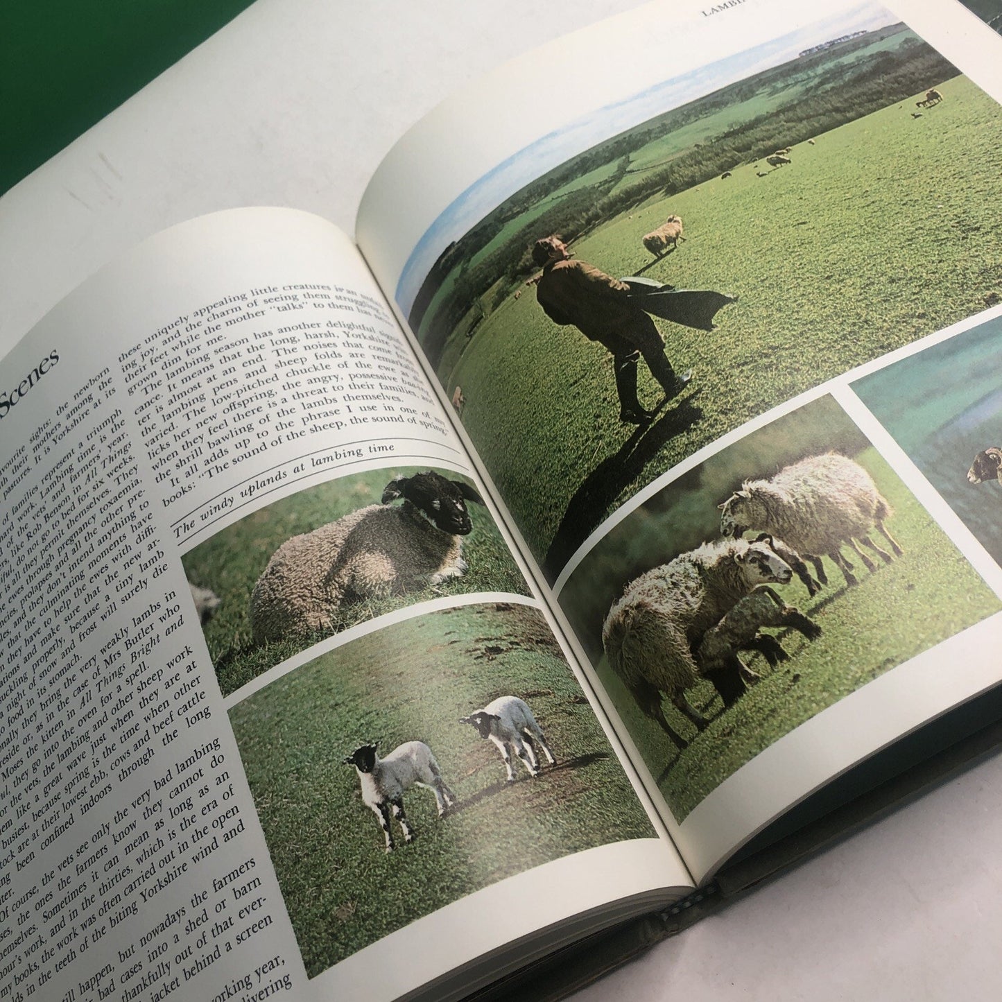 James Herriot's Yorkshire by James Herriot & Derry Brabbs HC DJ Illustrated 1979