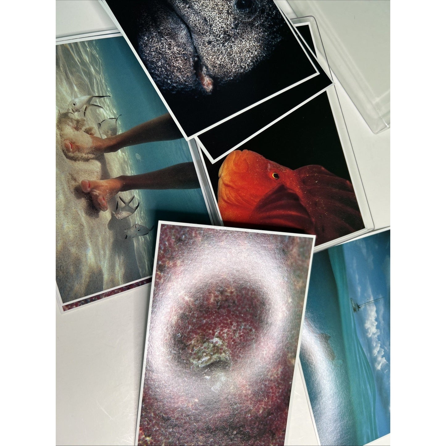 David Doubilet Water Light Time Boxed Set Of Postcards Phaidon