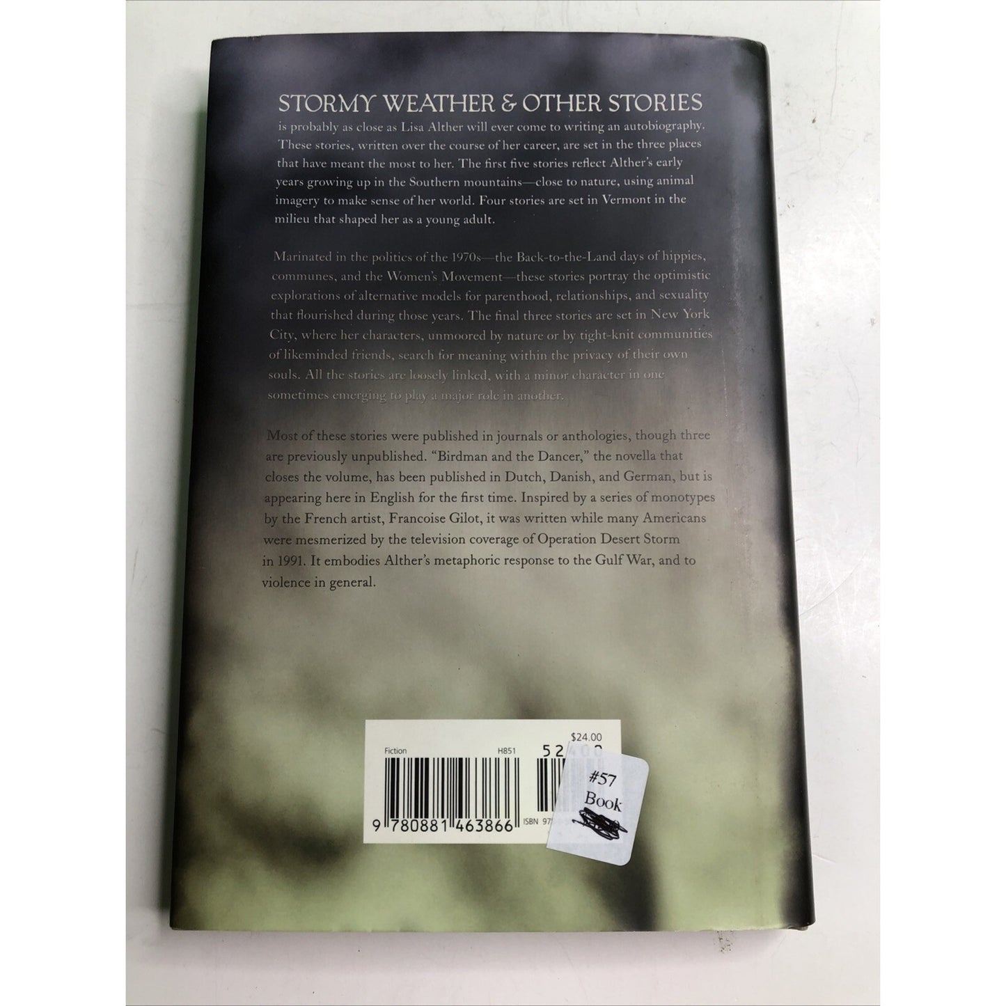 Stormy Weather and Other Stories DJ Hardcover SIGNED BY AUTHOR Lisa Alther 2012