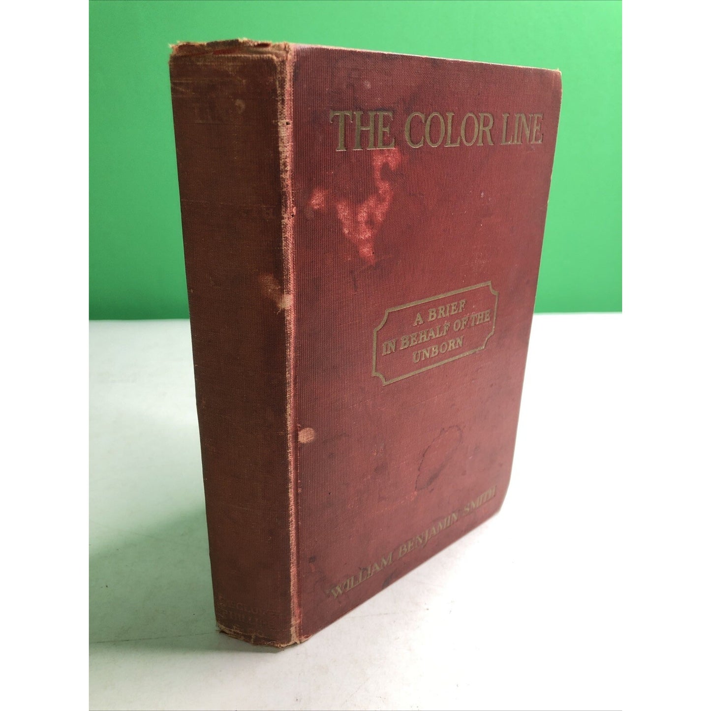 The Color Line A Brief on Behalf of the Unborn 1905 HC by William Benjamin Smith