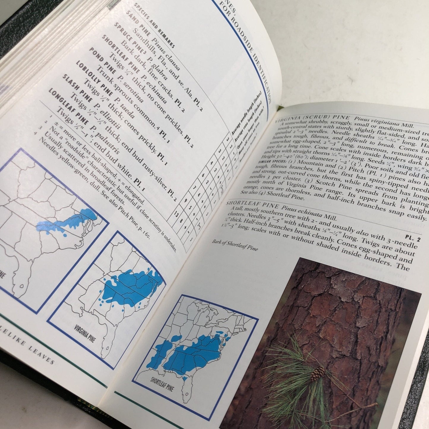 Roger Tory Peterson Field Guides: EASTERN TREES HC Leather Bound by Petrides