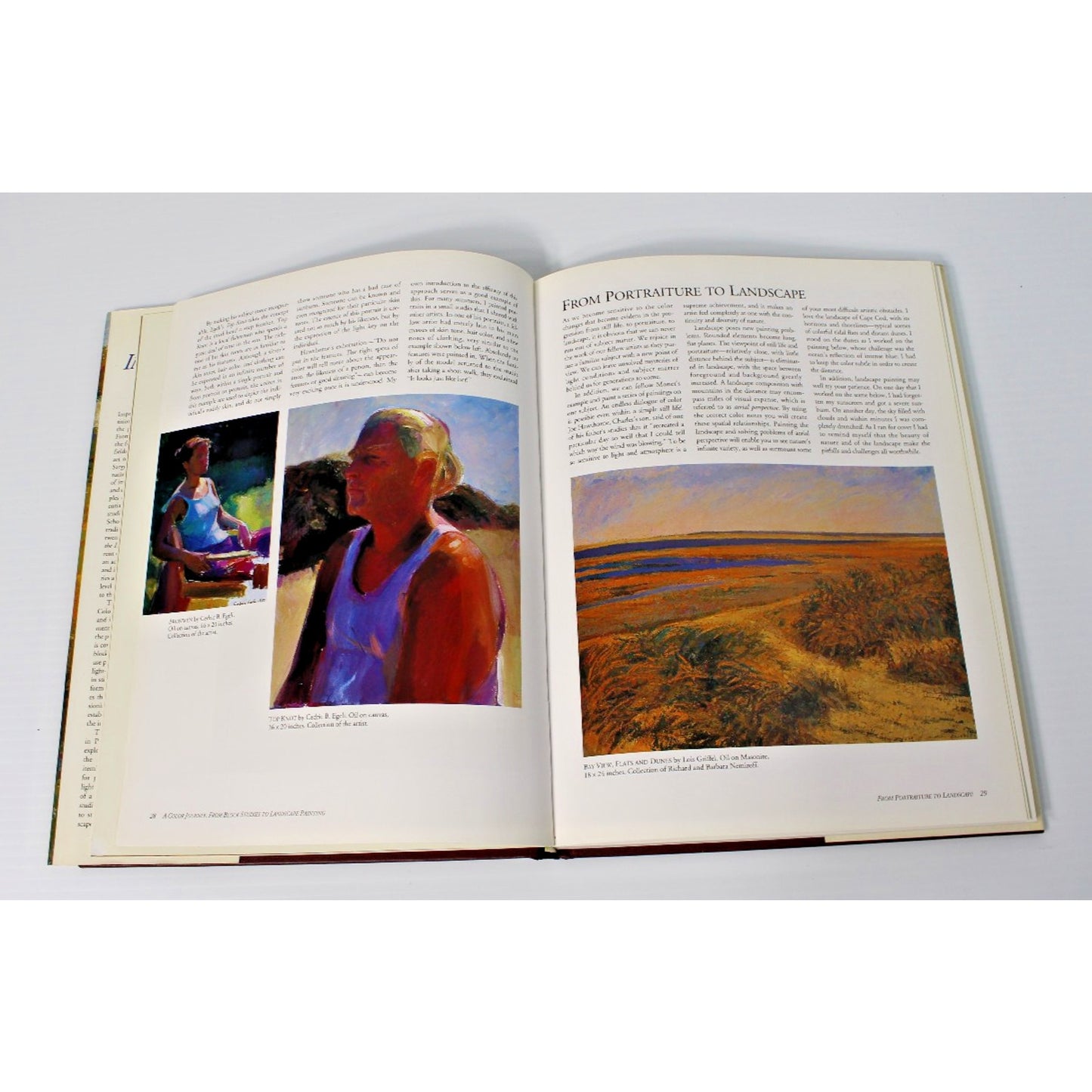 Painting the Impressionist Landscape: Lessons in Interpreting Light & Color Art
