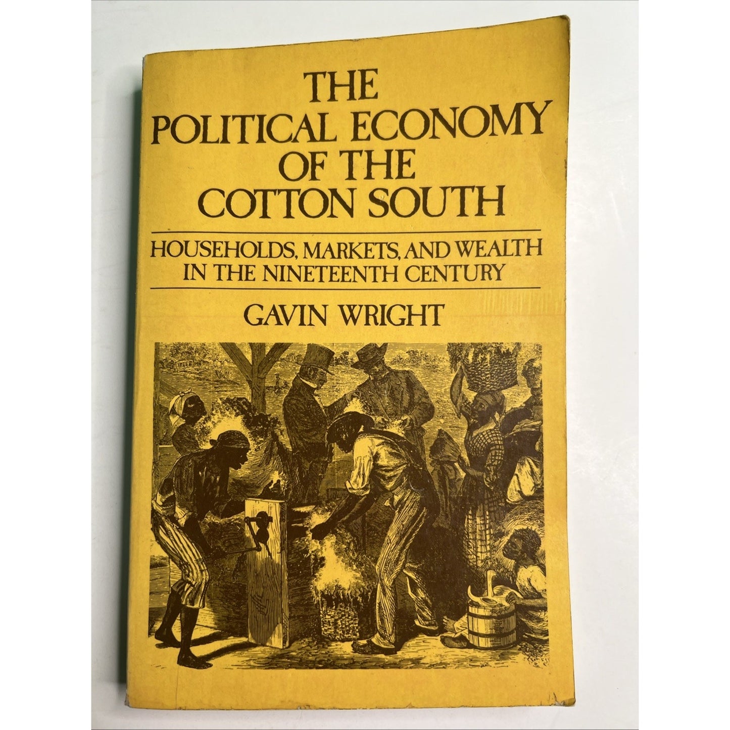 The Political Economy of the Cotton South by Gavin Wright 1978 Softcover 1st Ed