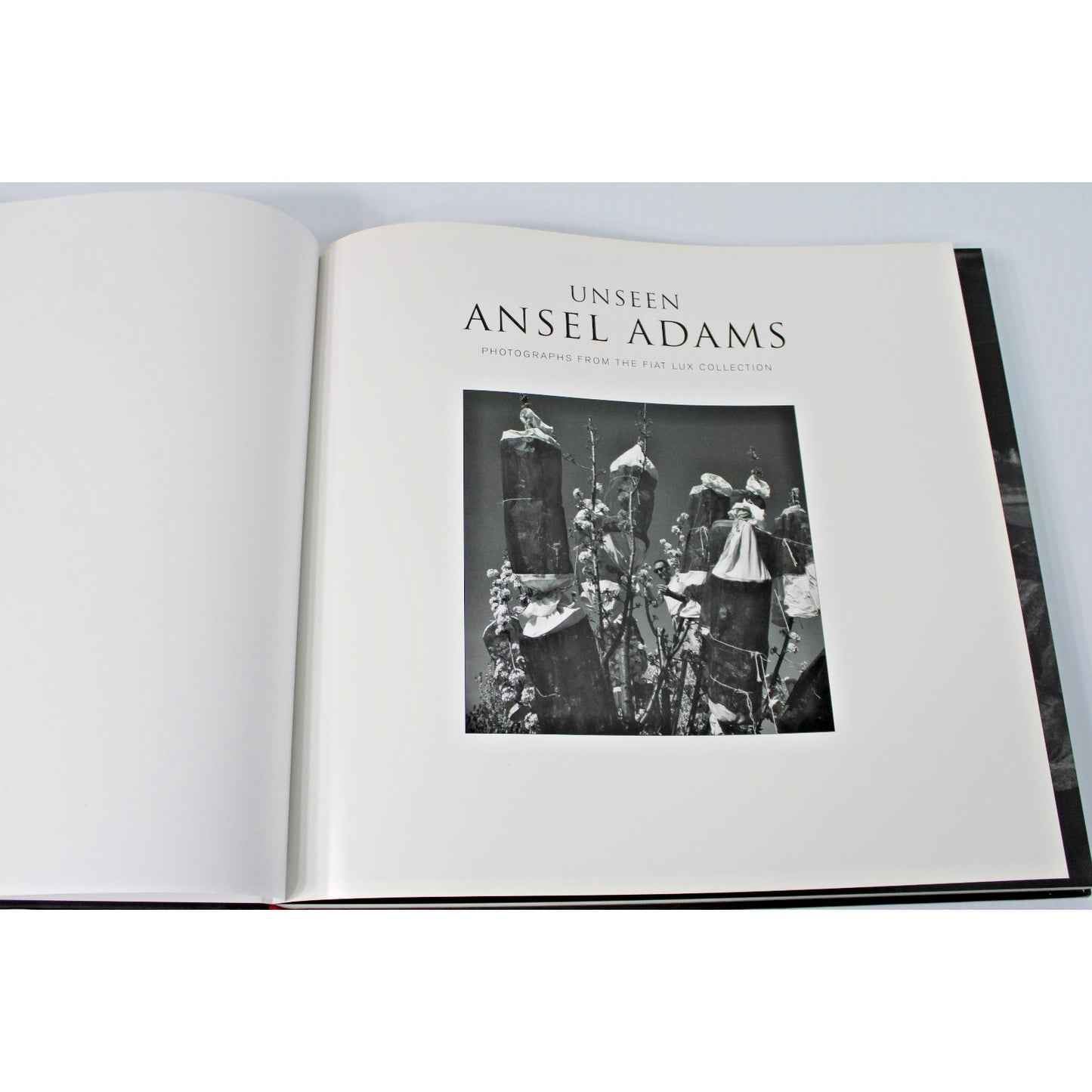 UNSEEN ANSEL ADAMS: Photographs from the Fiat Lux Collection, 2010 HC