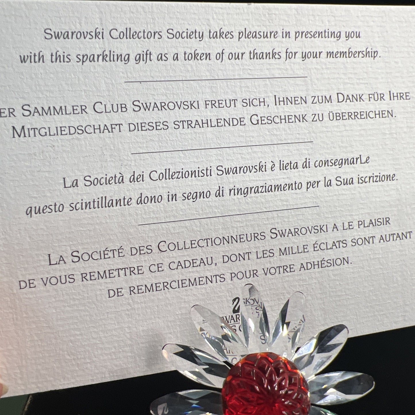 2000 Swarovski Collectors Society Crystal Daisy Red Center Austria 1 Year Gift