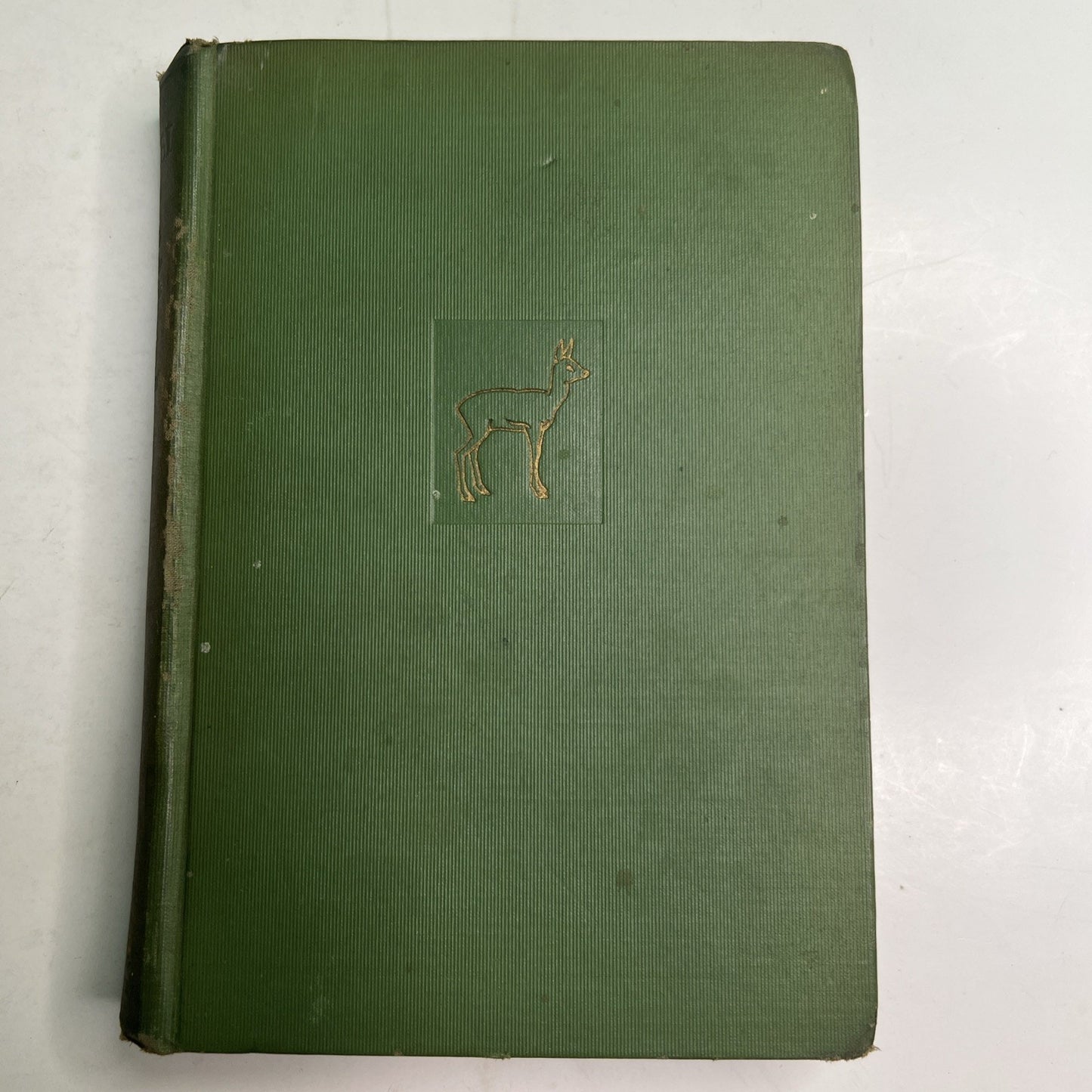 BAMBI A Life in the Woods by Felix Salten First 1st Edition 1929 First Print HC