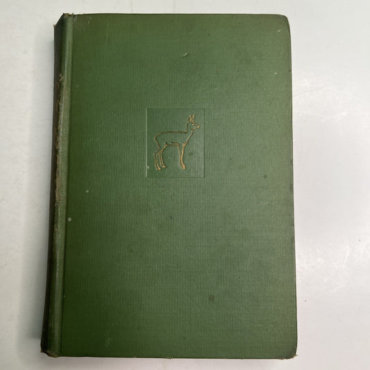 BAMBI A Life in the Woods by Felix Salten First 1st Edition 1929 First Print HC