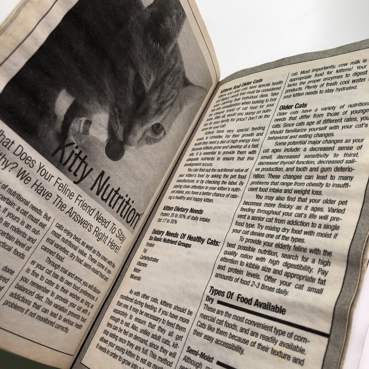 Just Cats Book By Town & Country Farmer’s Almanac 2002 Feline Health