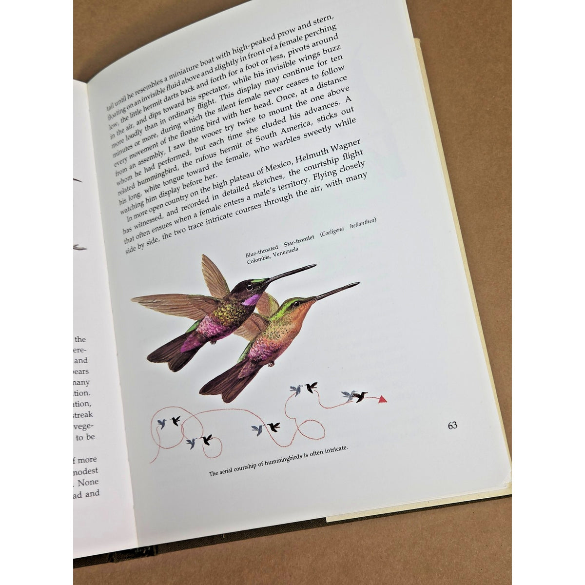 Vintage 1973 "The Life of the Hummingbird" - Alexander Skutch & Arthur Singer