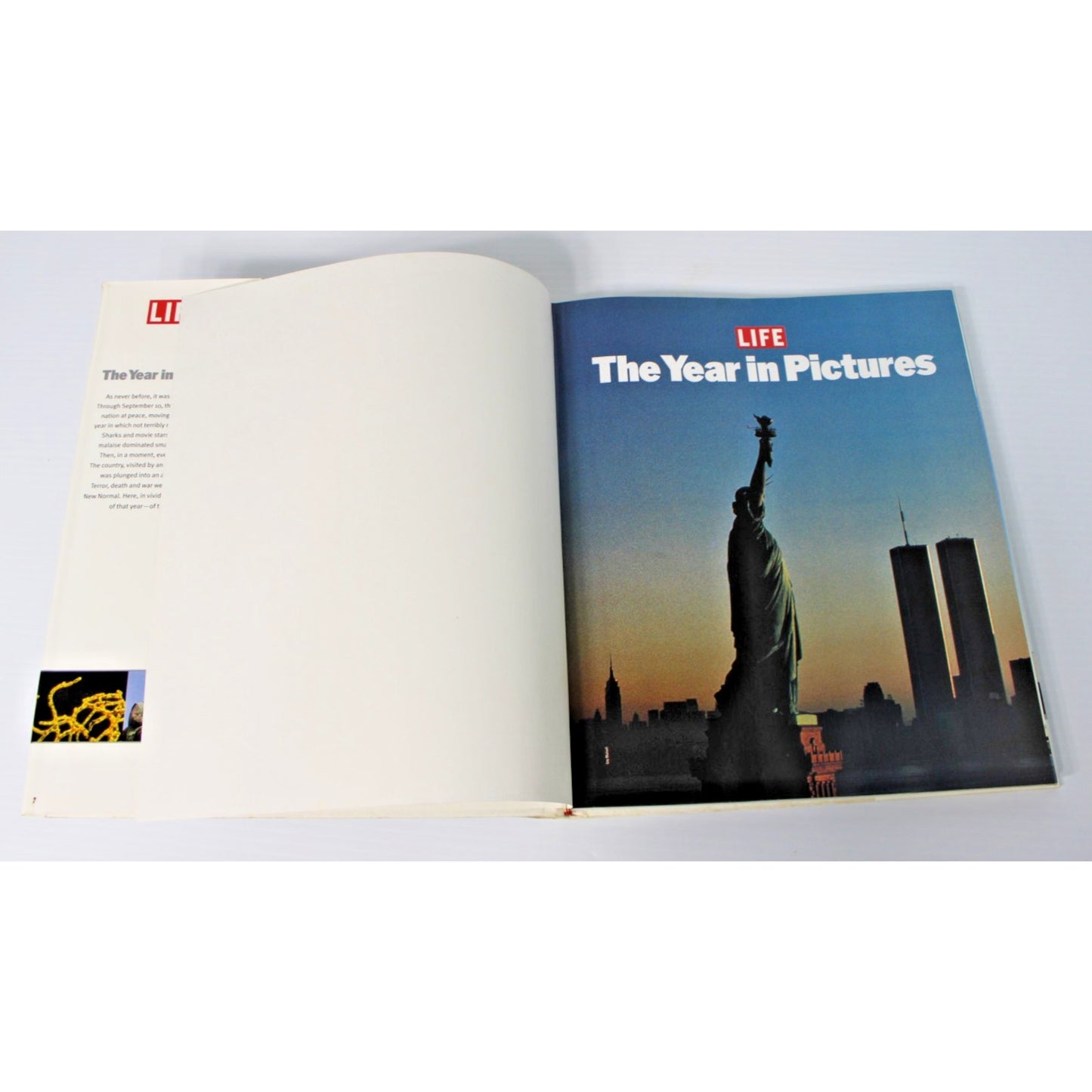 LIFE The Year in Pictures- September 11 2001 Before And After- White HC/ DJ