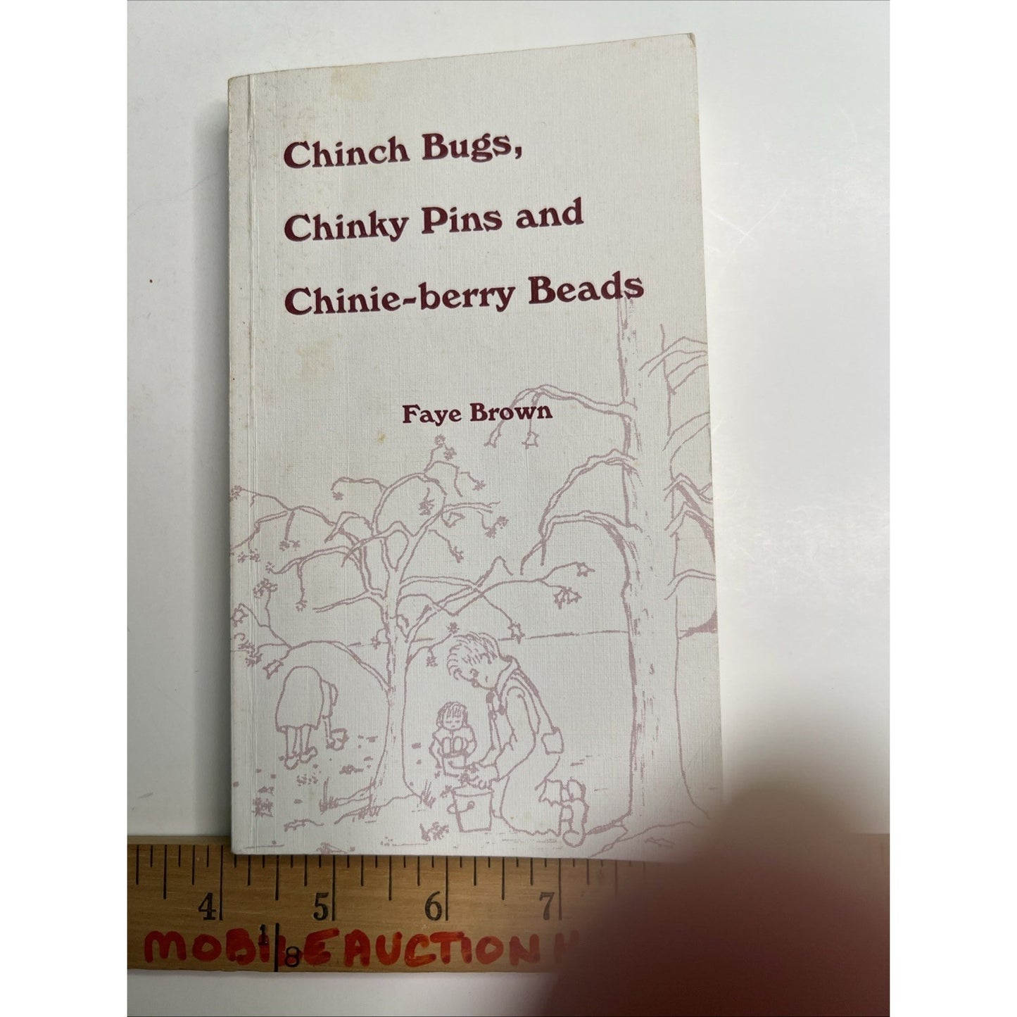 Chinch Bugs, Chinky Pins and Chinie-berry Beads by Faye Brown PB 1990 AL Author
