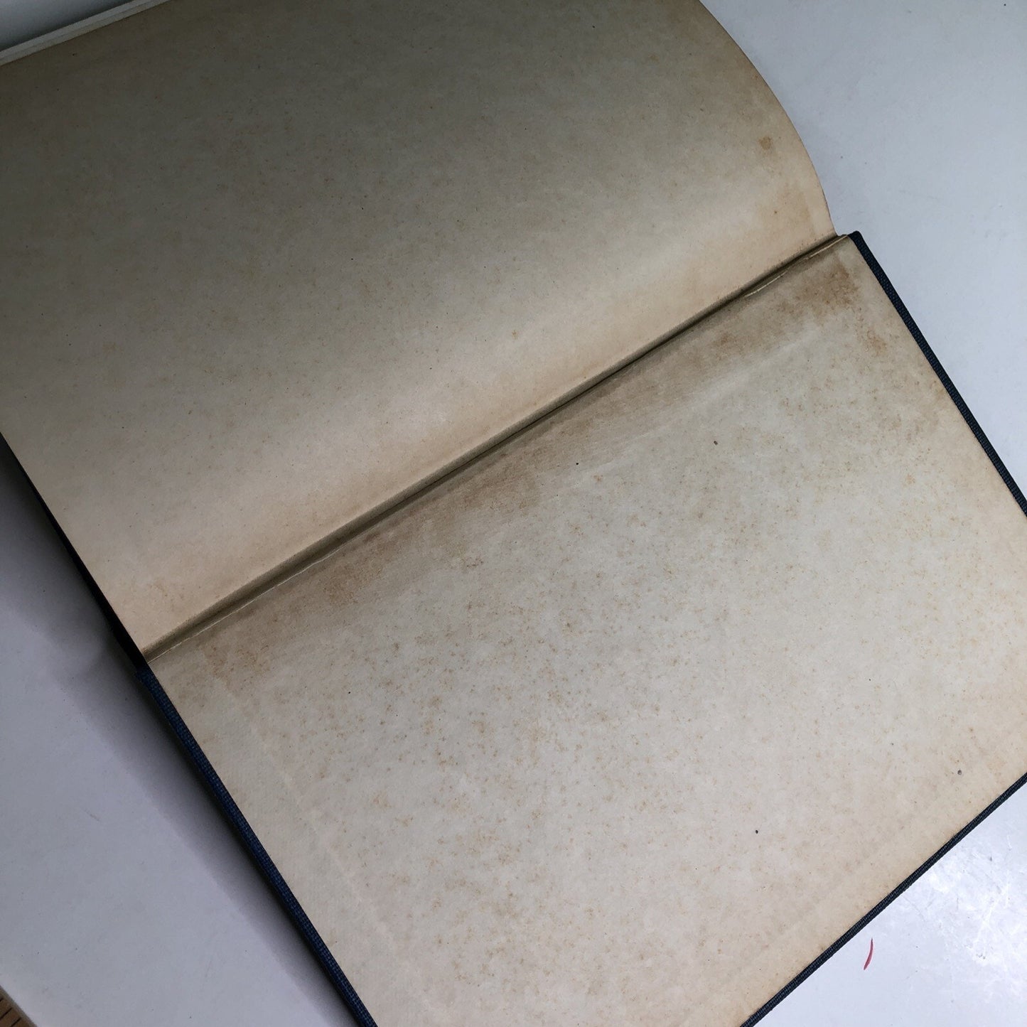 1947 Bacteriology And Allied Subjects By Louis Gershenfeld 2nd Printing HC Illus