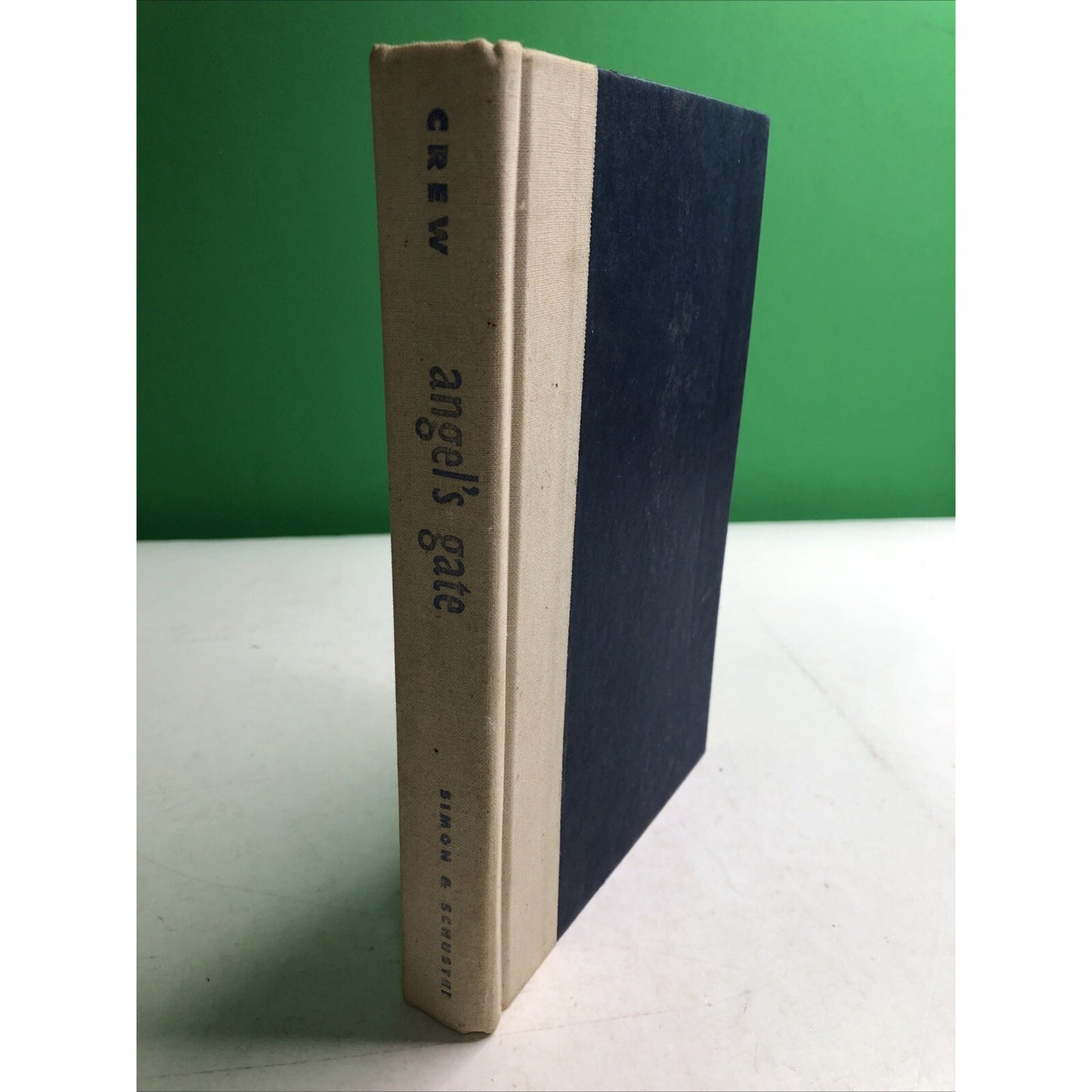Angel's Gate By Gary Crew First U.S. Edition 1995 Australian Fiction Feral Child