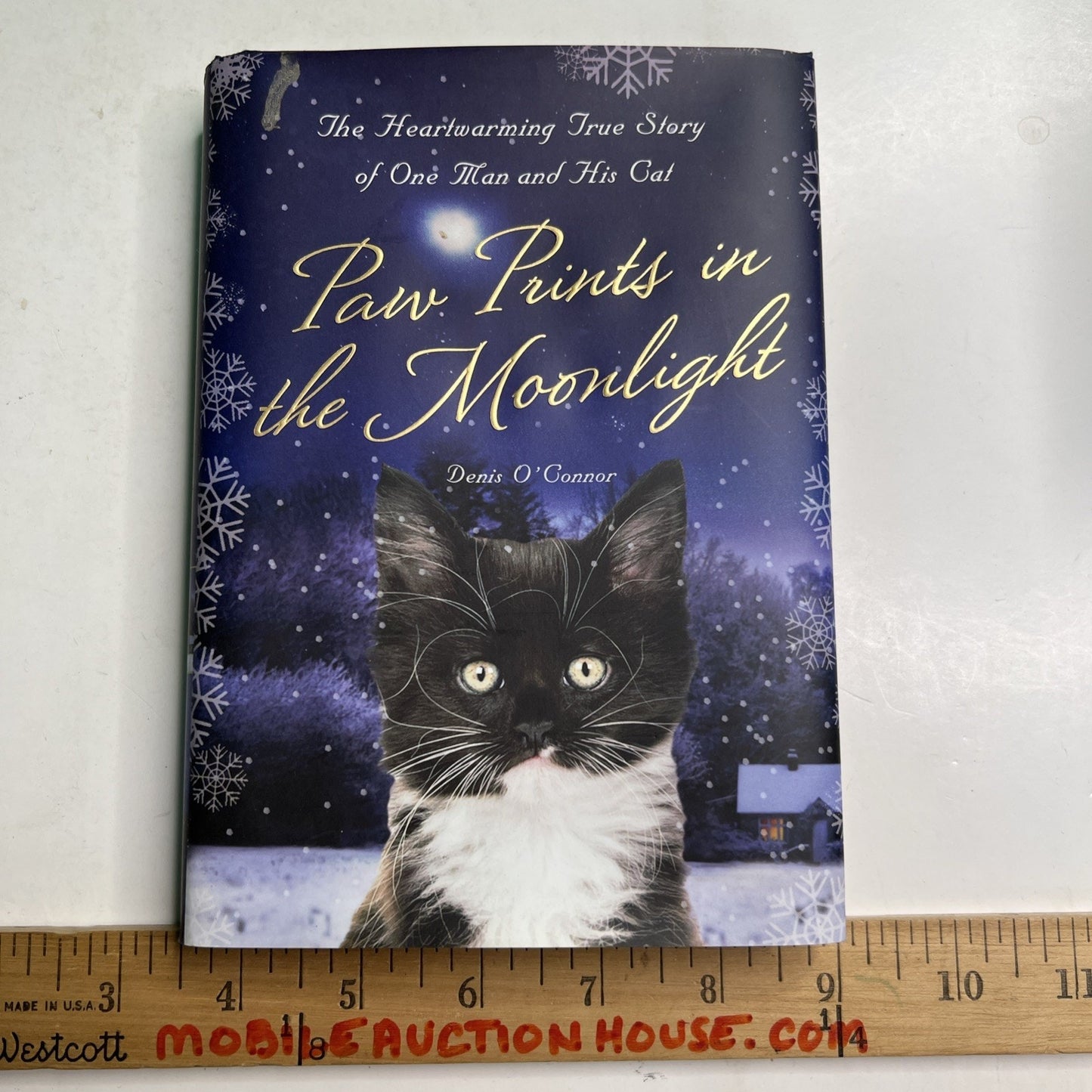 Paw Prints in the Moonlight: The Heartwarming True Story of One Man and his Cat
