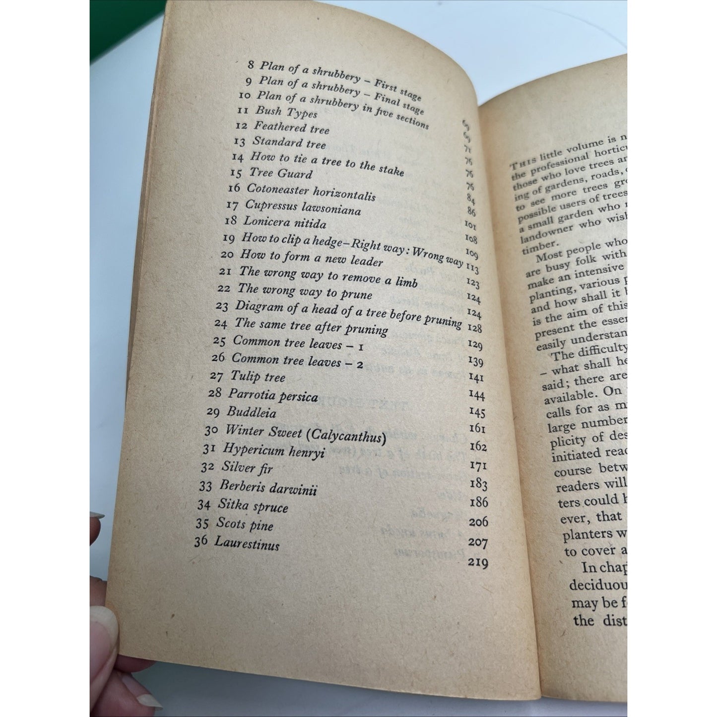 Trees and Shrubs 1951 PB by W. H. Rowe Illustrated