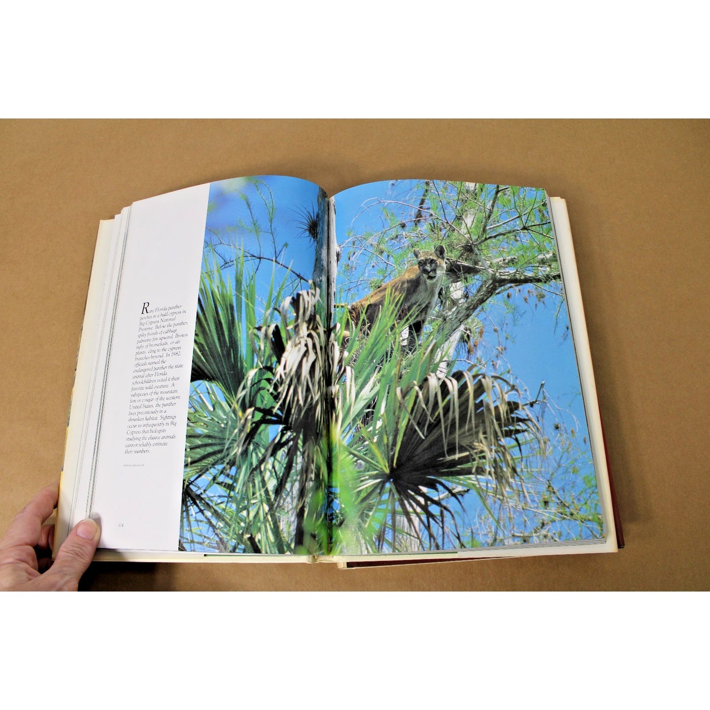 Lot of 3 National Geographic Books: America's Woodlands, Valleys, and Wetlands