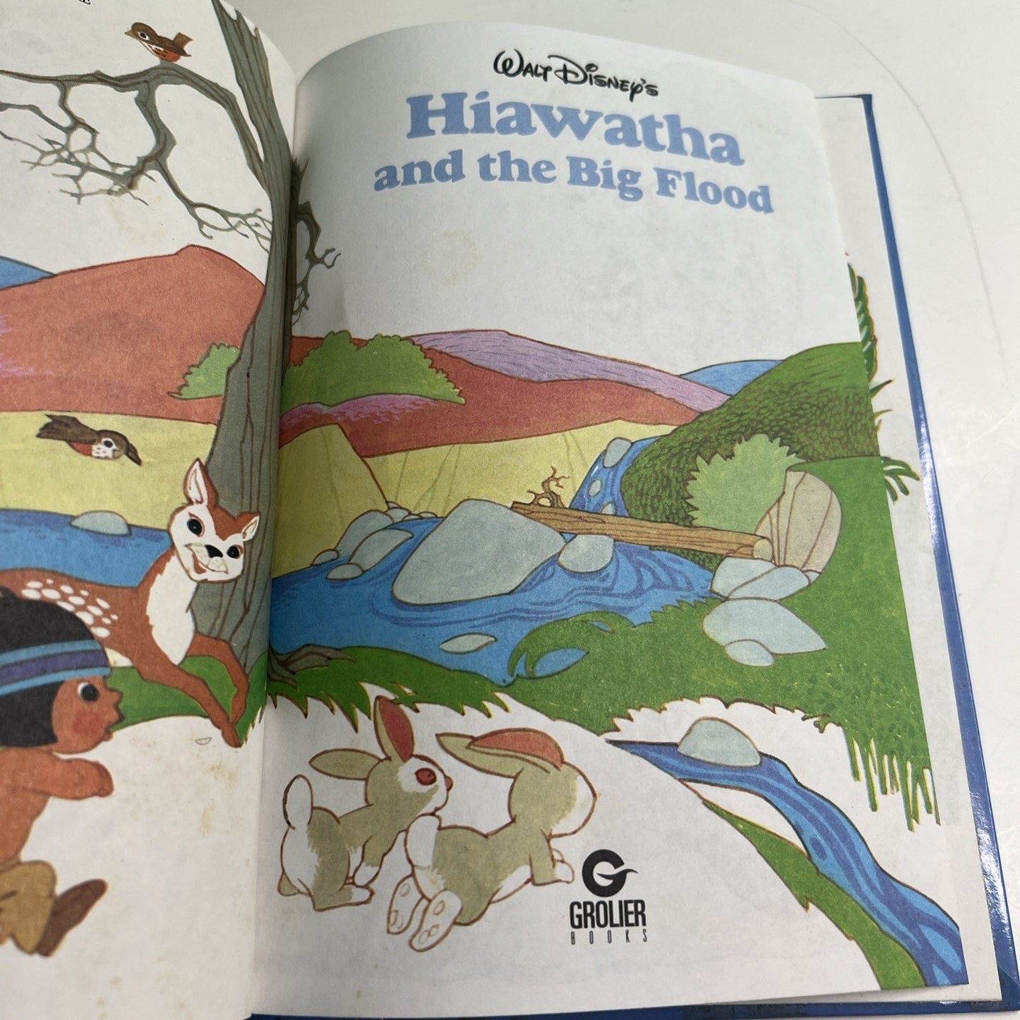 Walt Disney’s Wonderful World Of Reading Hiawatha And The Big Flood 1984 HC