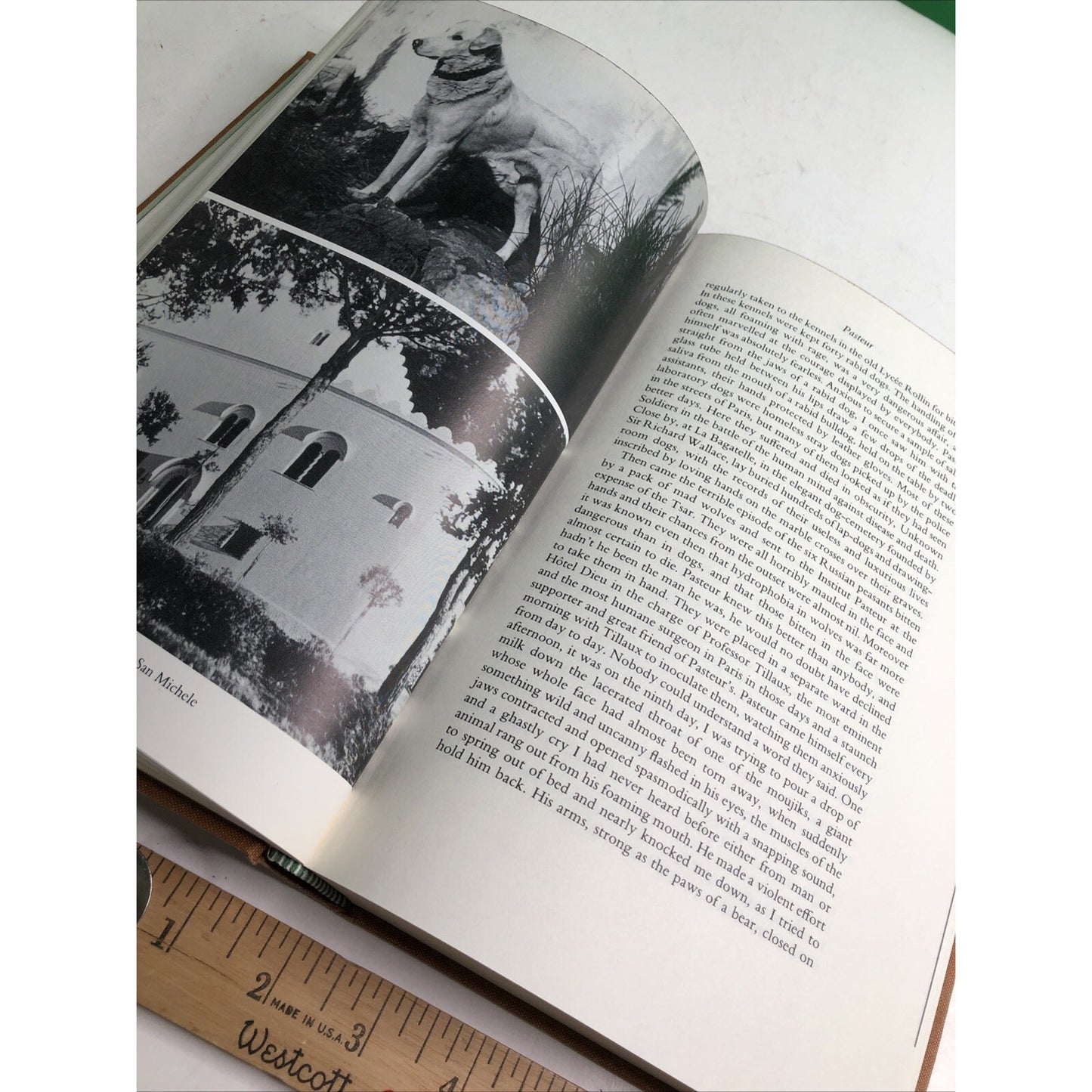 The Story of San Michele by Axel Munthe Folio Society Edition 1991