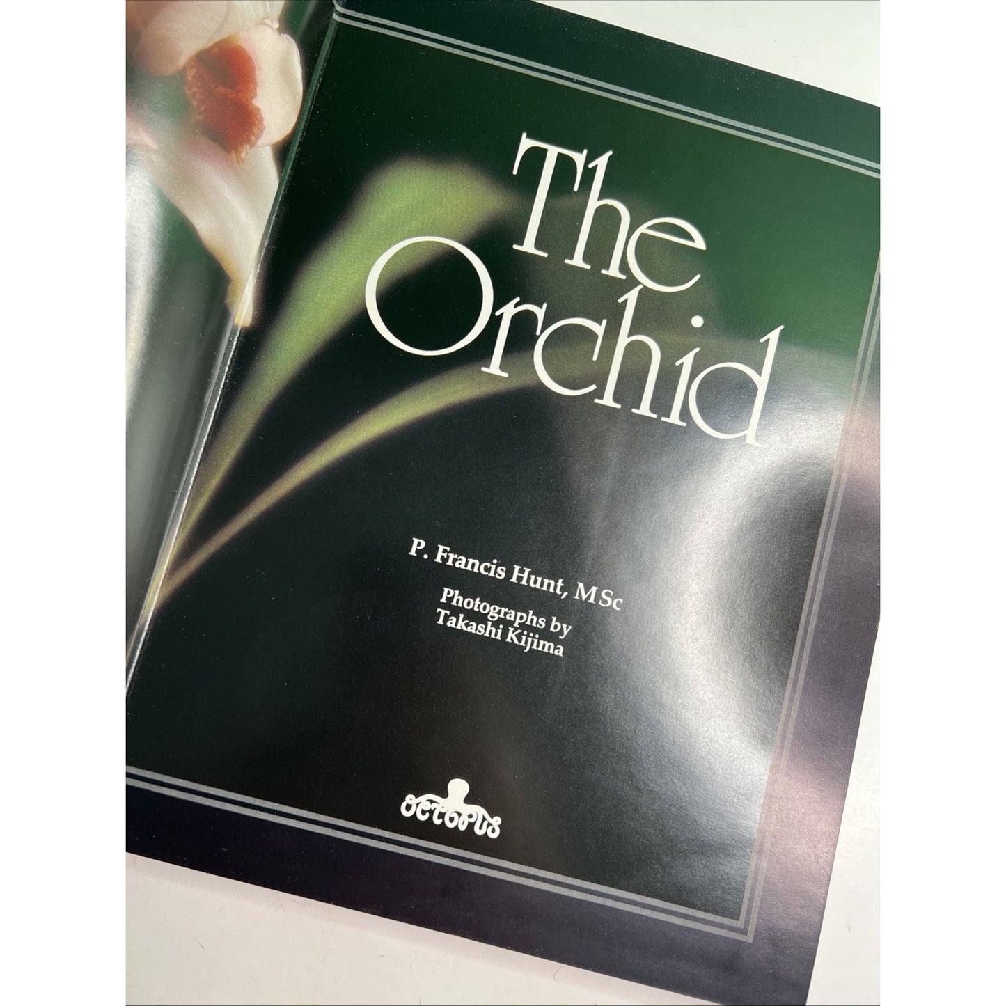 The Orchid by P F Hunt Photos by T Kijima 1978 First Edition HC DJ