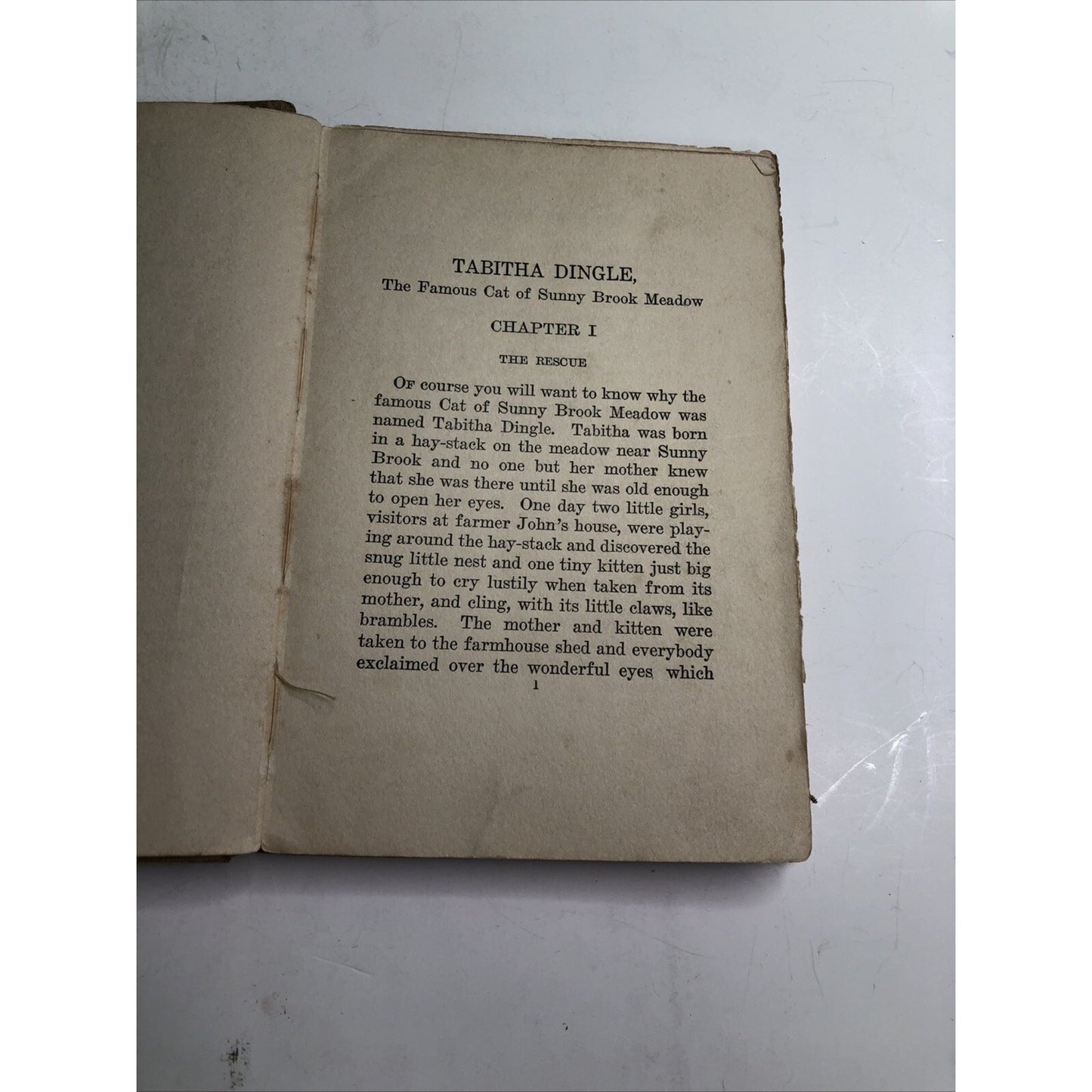 Tabitha Dingle by Elsie M. Alexander 1928 Illustrated FREE SHIPPING