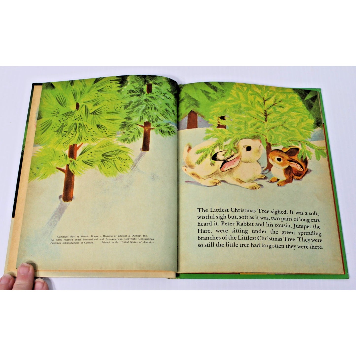 Vintage 1954 The Littlest Christmas Tree- Thornton W. Burgess, Mary & Carl Hauge