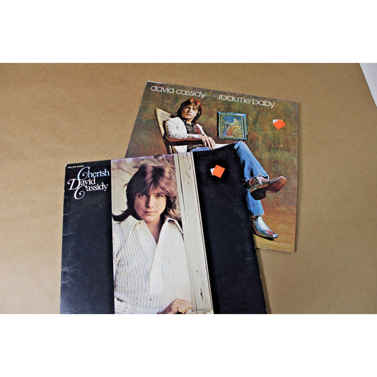 Two Super Retro Albums by David Cassidy, Teen Heartthrob and 70s Icon
