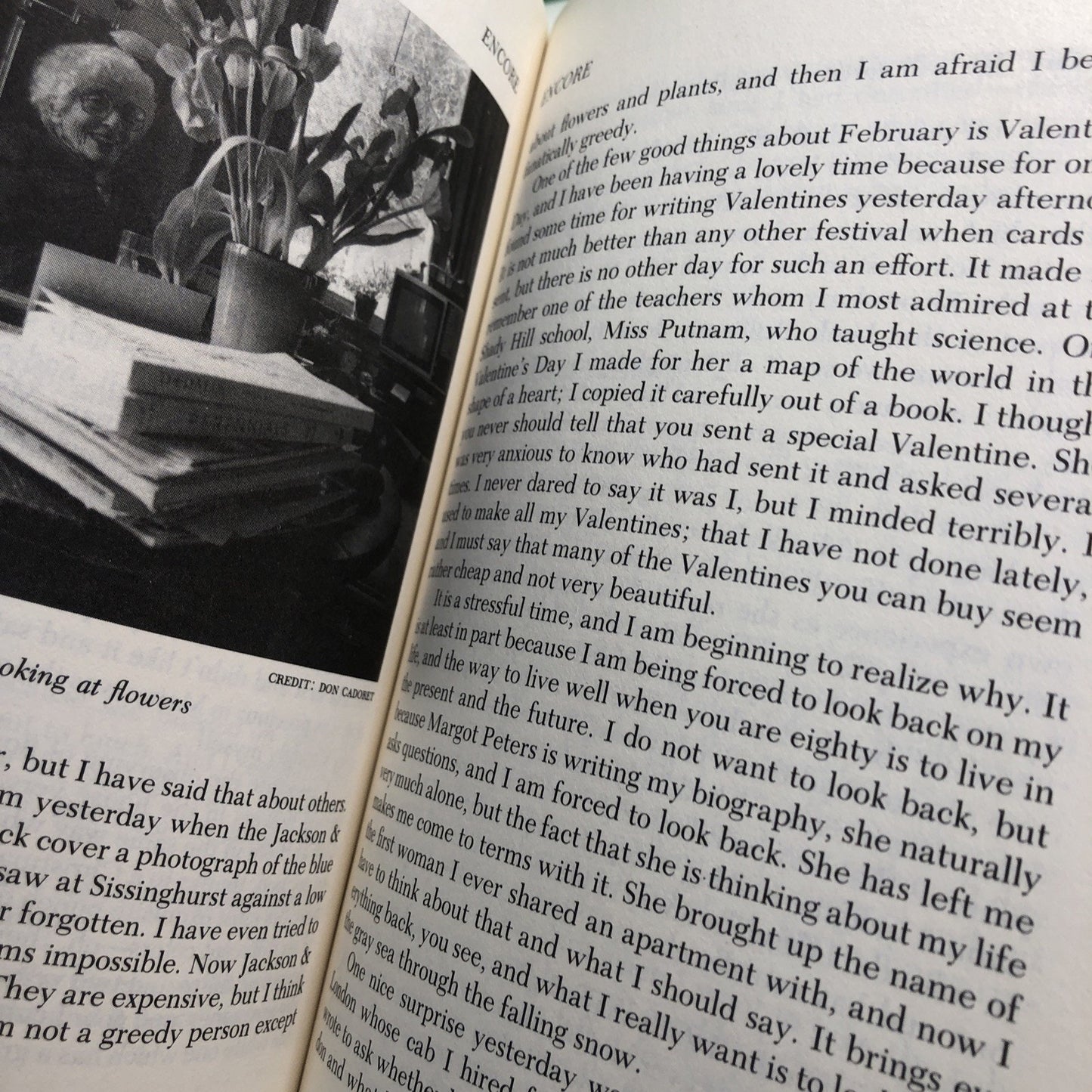 Encore: A Journal of the Eightieth Year by May Sarton 1993 PB Autobiography