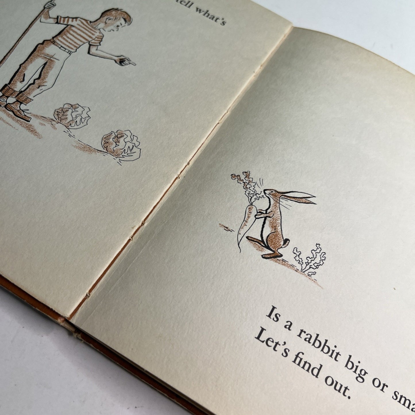 Let's Find Out What's Big and What's Small Shapp & Earle 1959 Hardcover Book