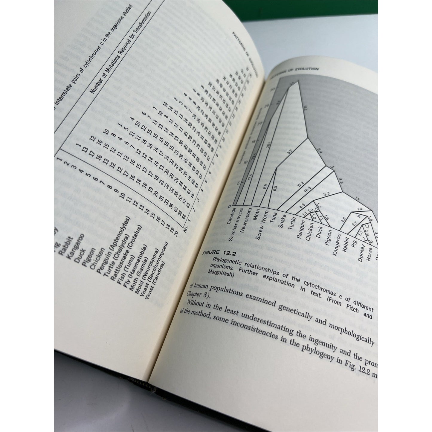 GENETICS OF THE EVOLUTIONARY PROCESS By Theodosius Dobzhansky 1970 Hardcover