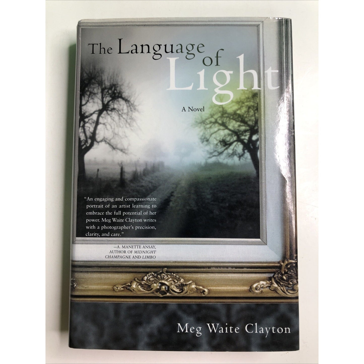 Language of Light by Meg Waite Clayton SIGNED 1st Edition Best Seller HC 2003