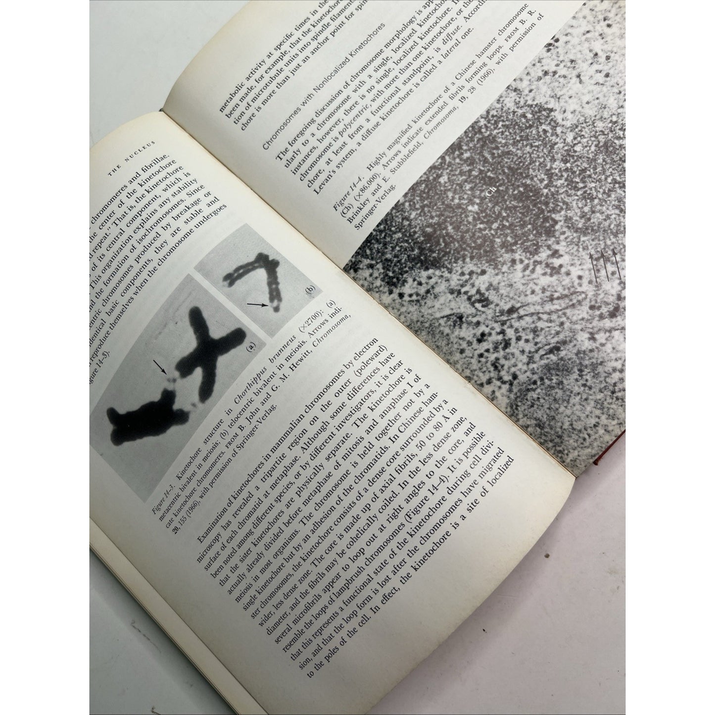 Elements of Cytology by Norman S Cohn 1969 Second Edition HC Illustrated
