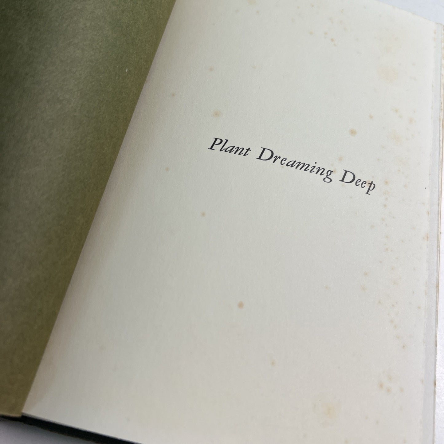 Plant Dreaming Deep 1968 HC DJ 1st Edition By May Sarton W/Letter To Sam Morison