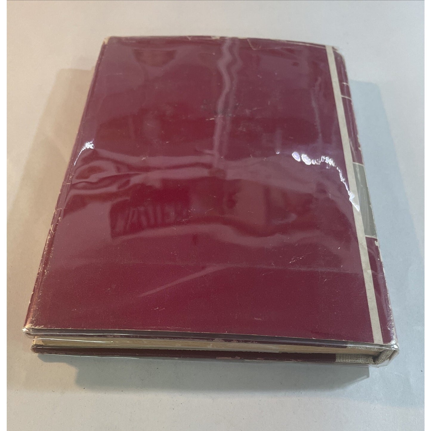 Of Men, Dogs & Horses by J.C. Bendrodt (Hardcover, 1952) - RARE - First Edition