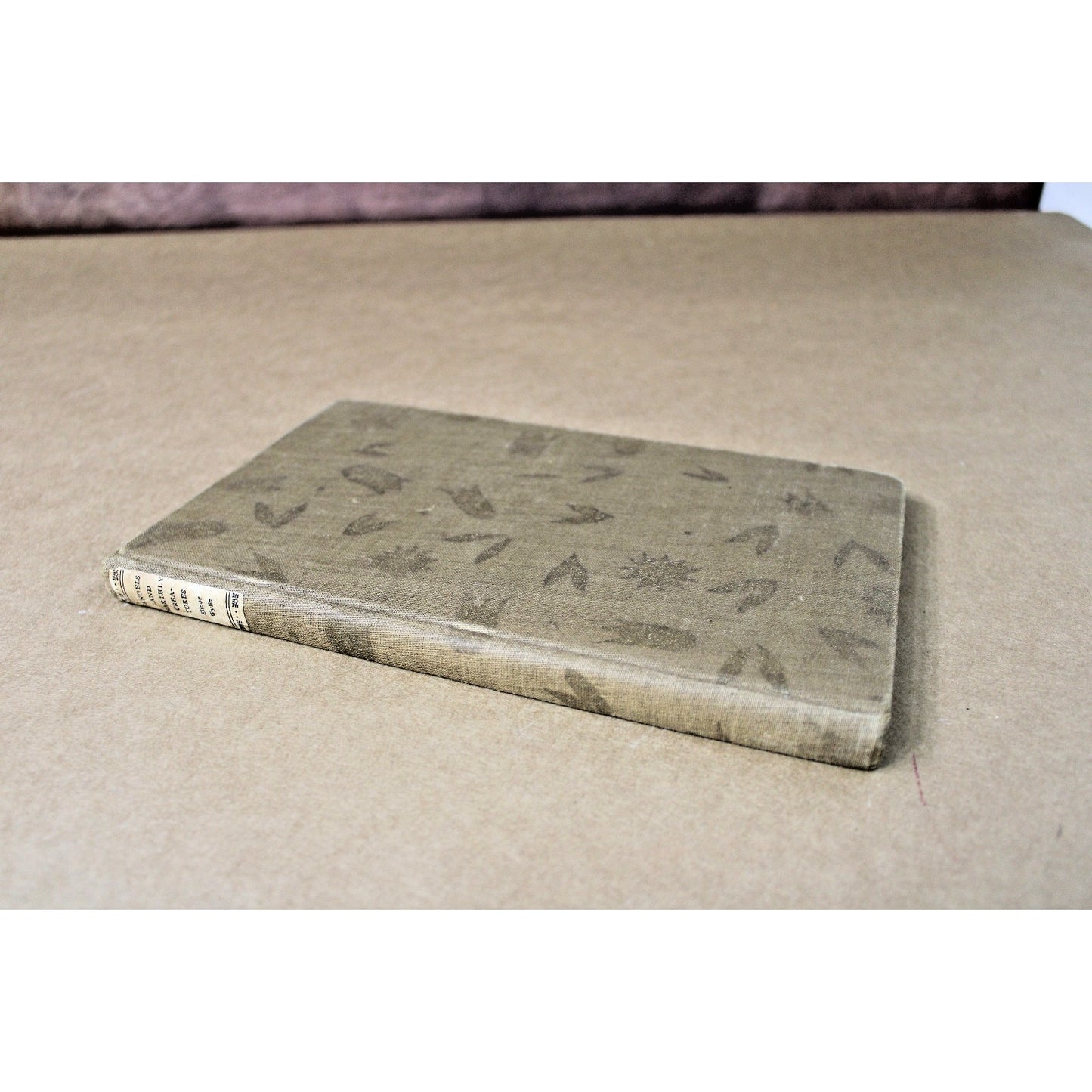 1929 Poetry Volume Elinor Wylie Angels And Earthly Creatures, Knopf