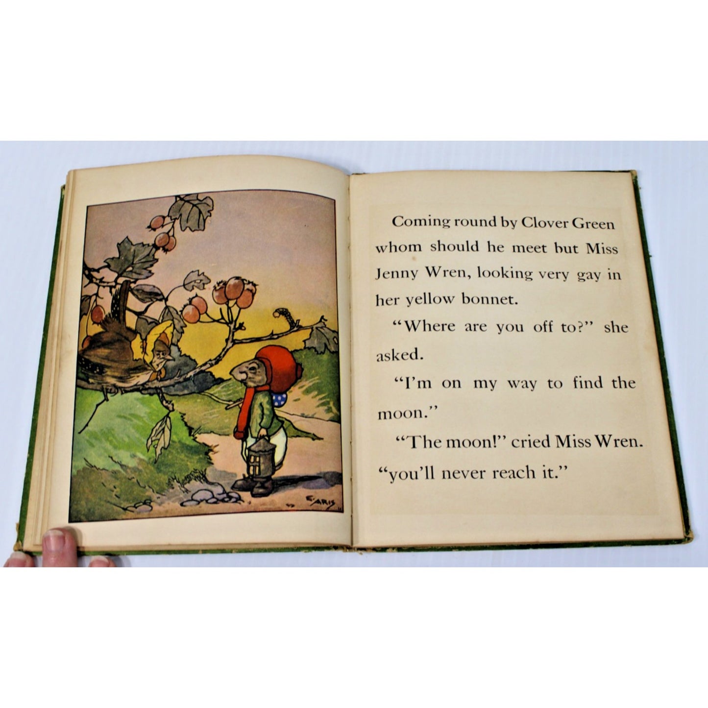 1927 Antique Children's book- Willie Mouse: Story of a Little Animal- Alma Tabor
