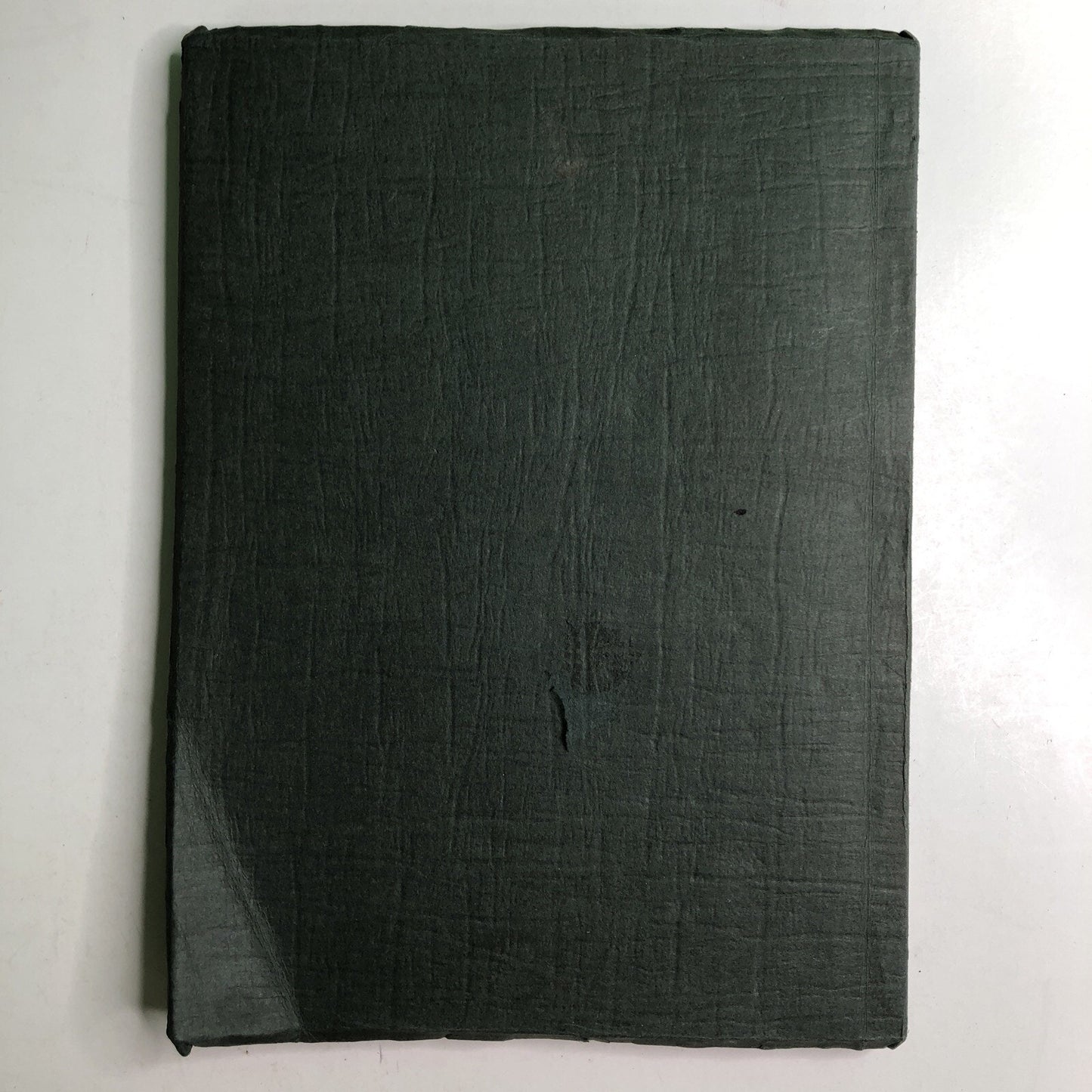 1925 BARTONIAN Yearbook Mobile High School Alabama Local History Barton Academy