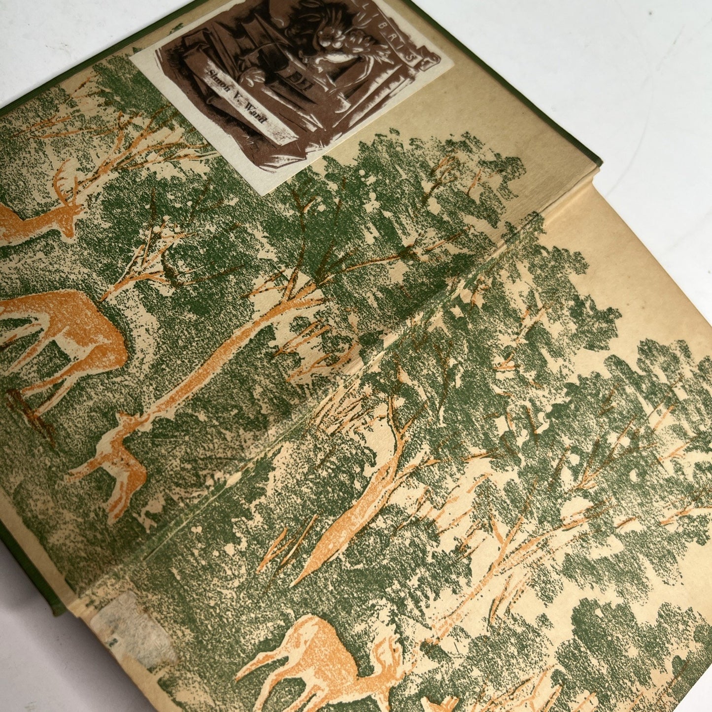 BAMBI A Life in the Woods by Felix Salten First 1st Edition 1929 First Print HC