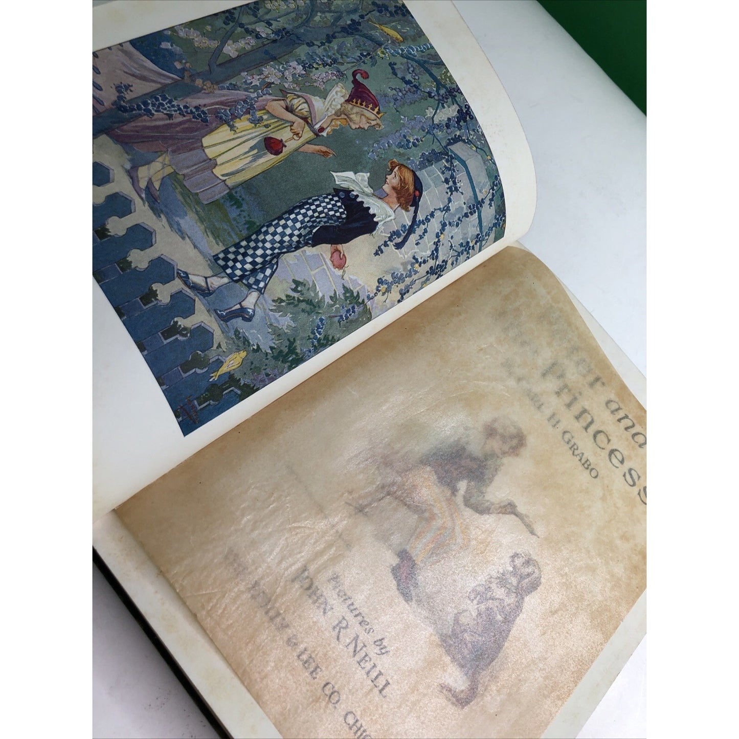 PETER AND THE PRINCESS by Carl H. Grabo Art by John R. Neill 1st Edition 1920 HC