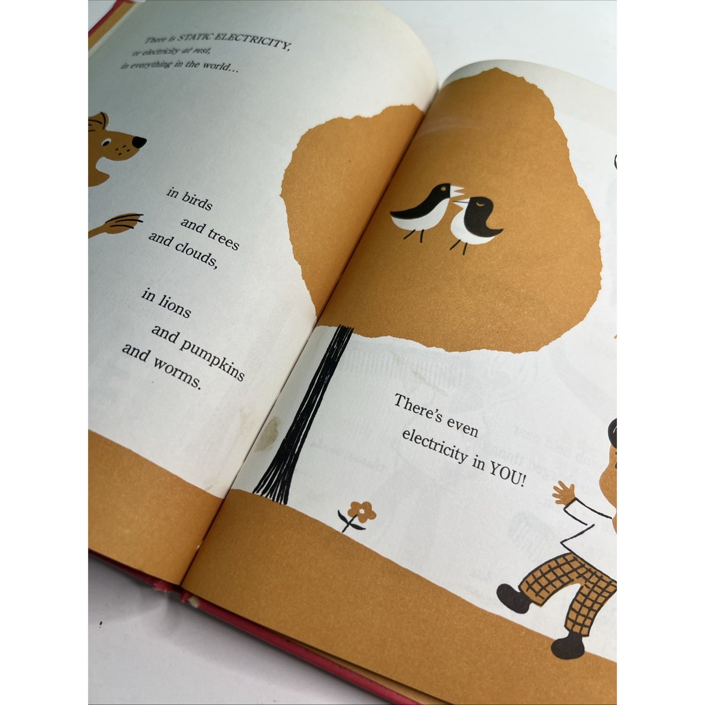 What Is A Shadow? A Second Book Of Simple Science Fun By Bob Ridiman 1973