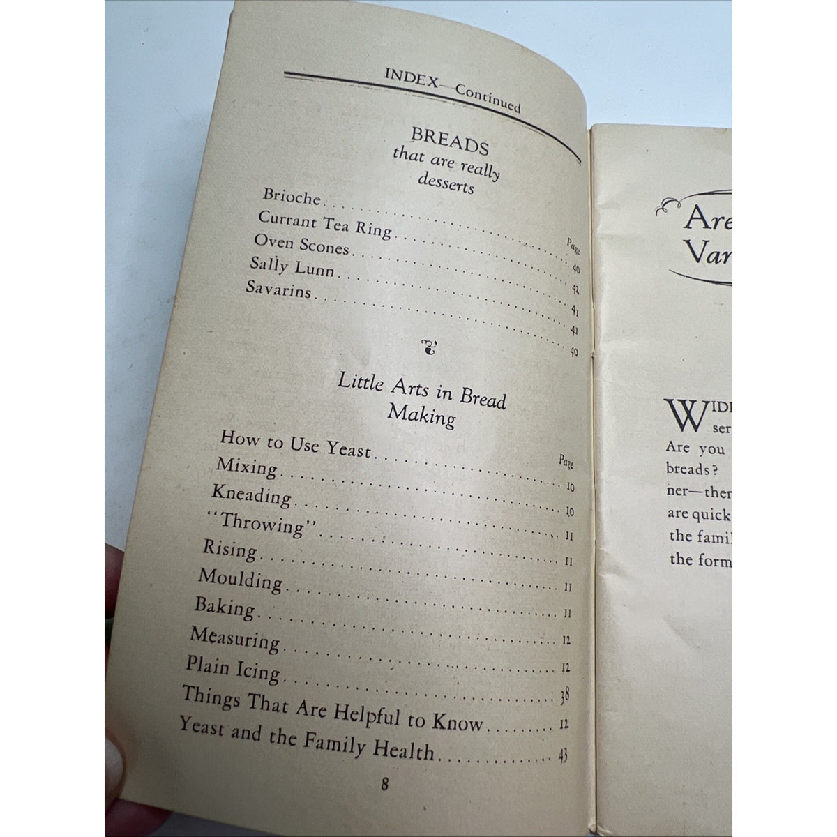 Vintage 1920 Fleischmann Co. Delicious Recipes 37 Delightful Breads & Some Cakes