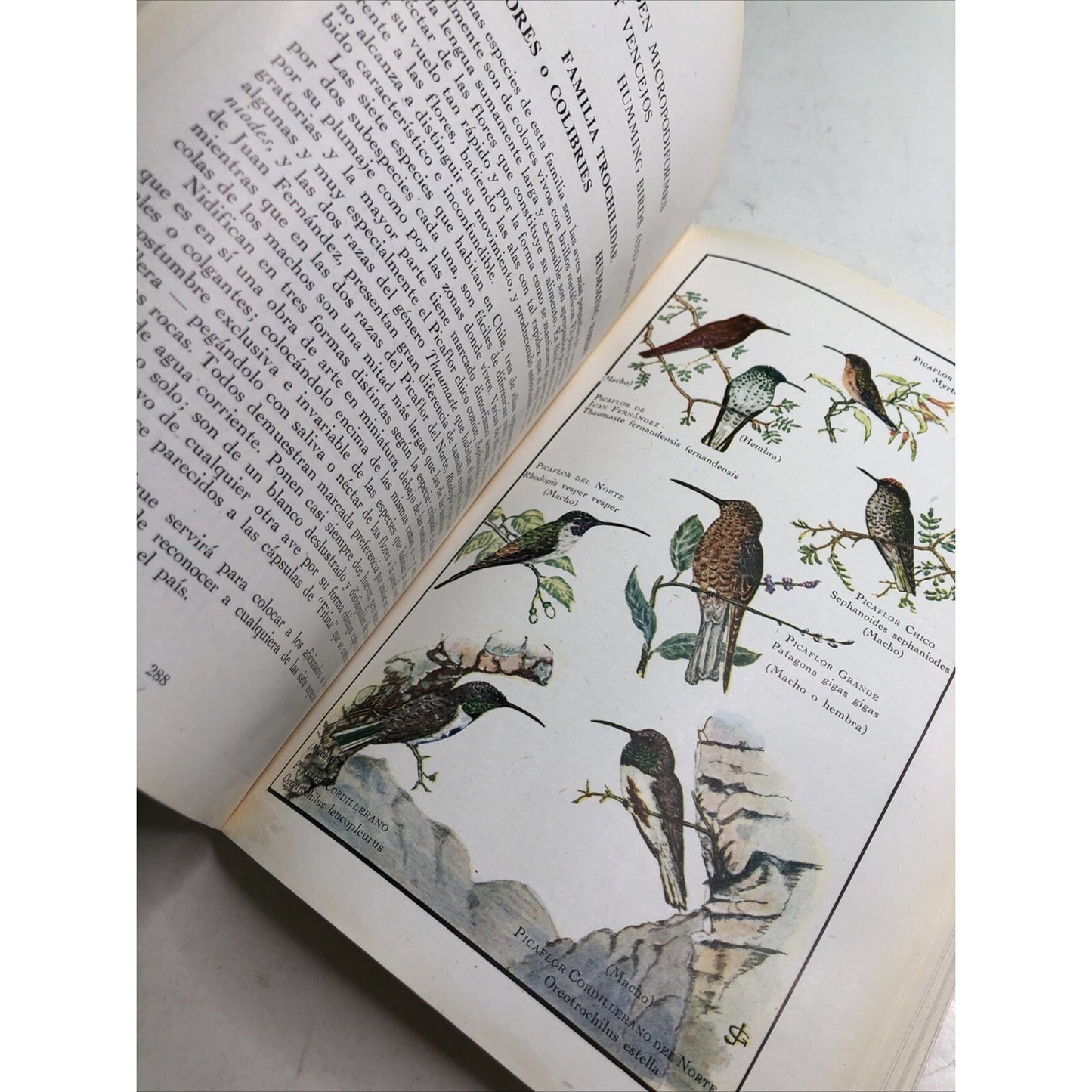 1946 PB Las Aves De Chile (Birds Of Chile) Illus. by Goodall Johnson Philippi